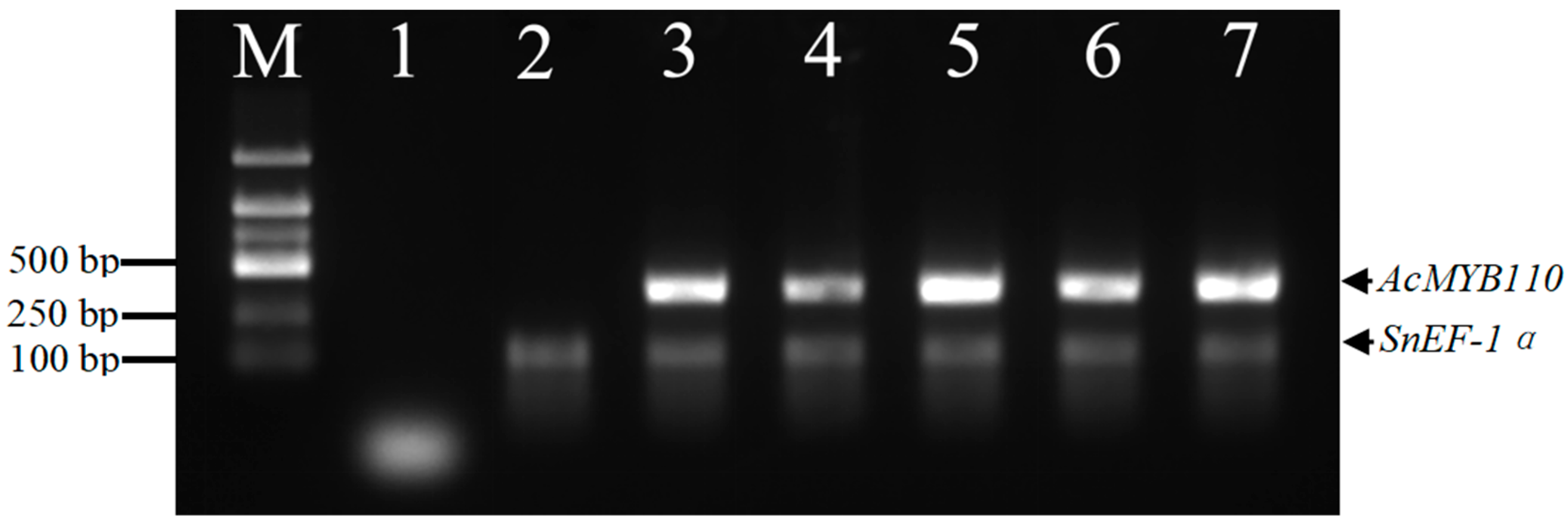 Plants 13 02015 g007