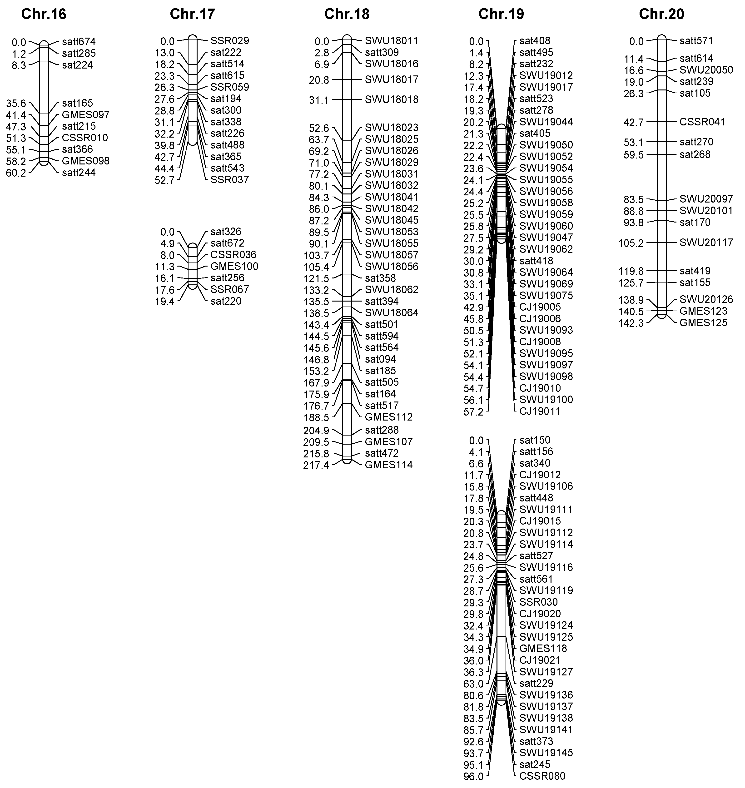 Plants 13 02020 g003c