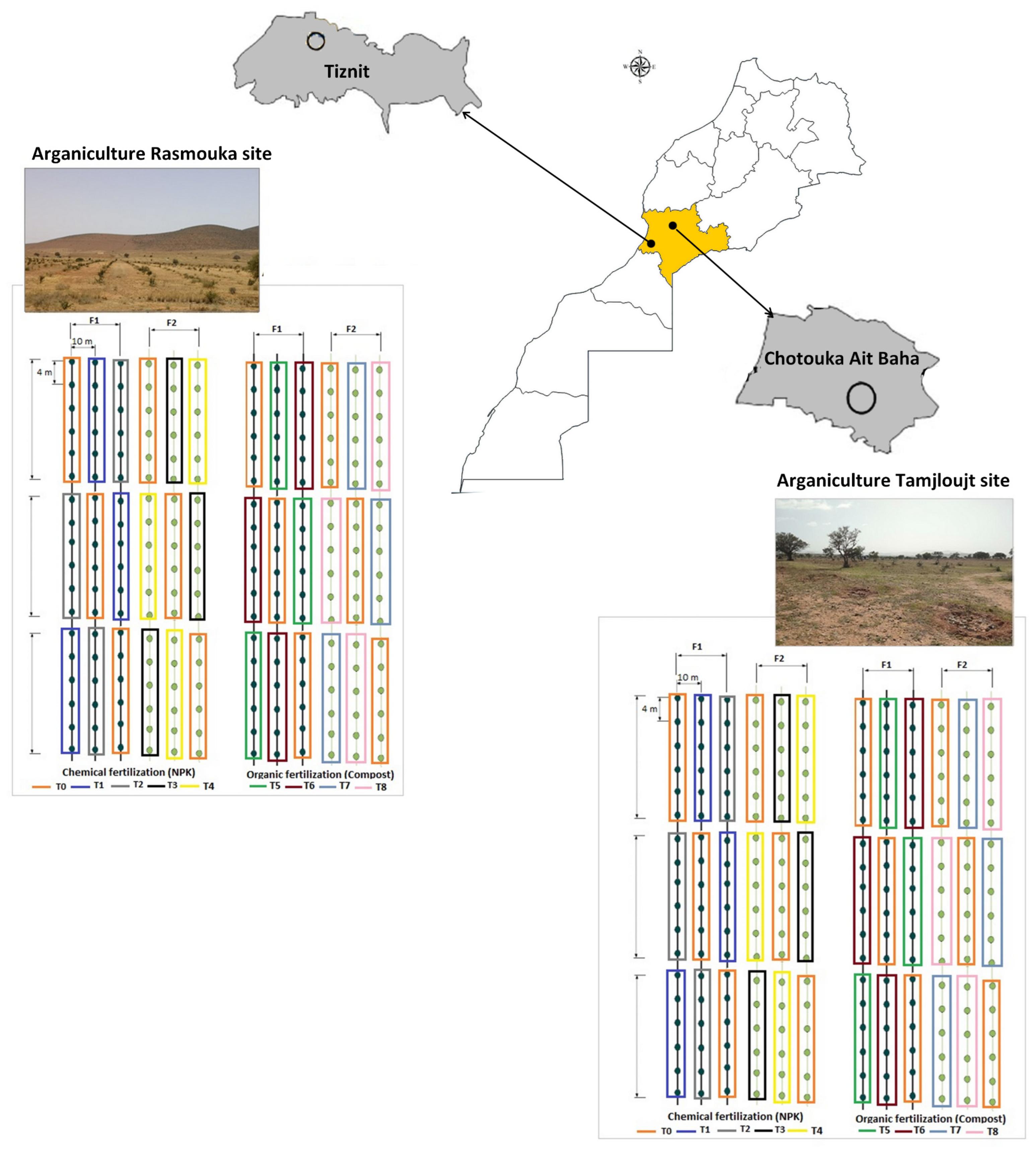 Plants 13 02026 g016