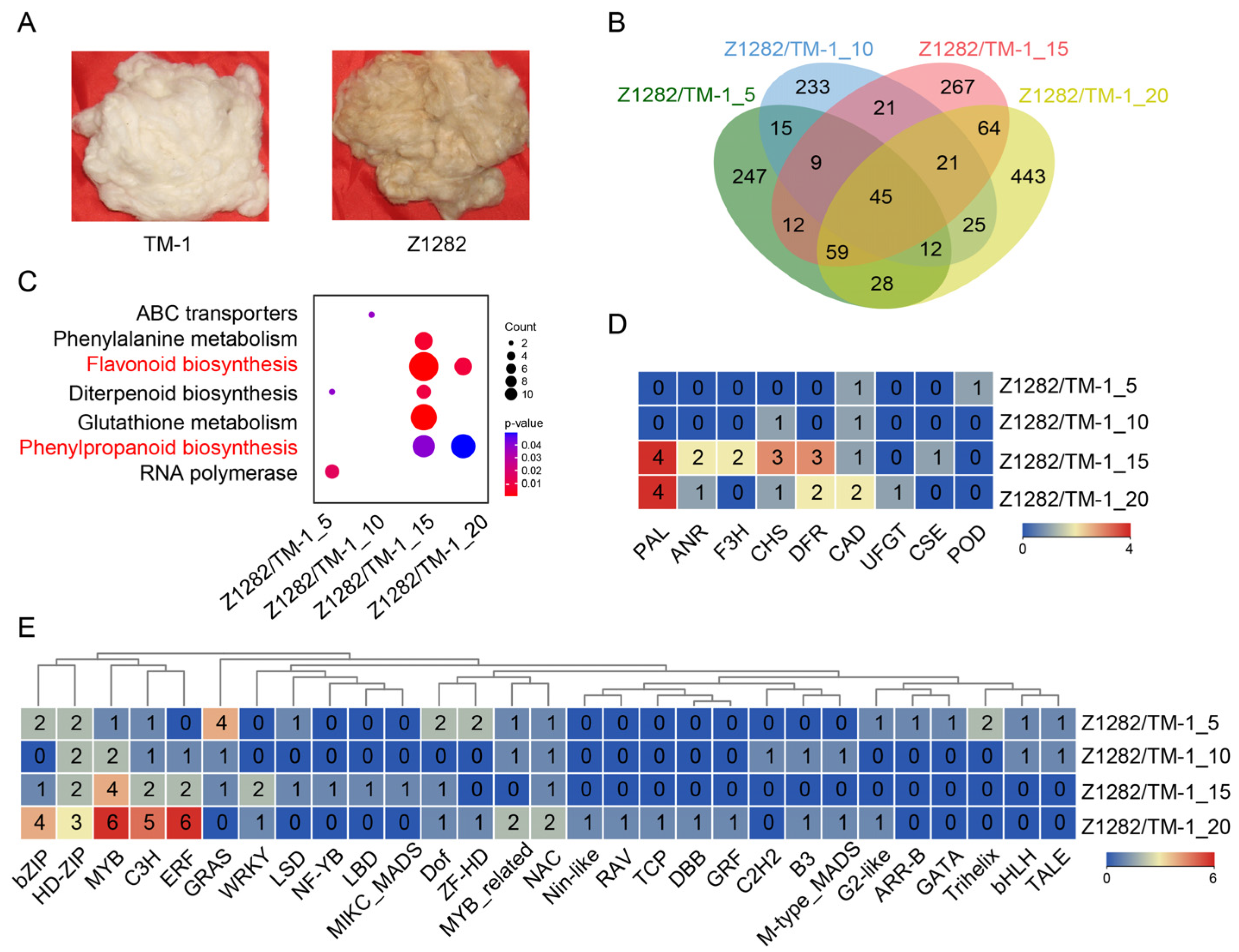 Plants 13 02028 g001