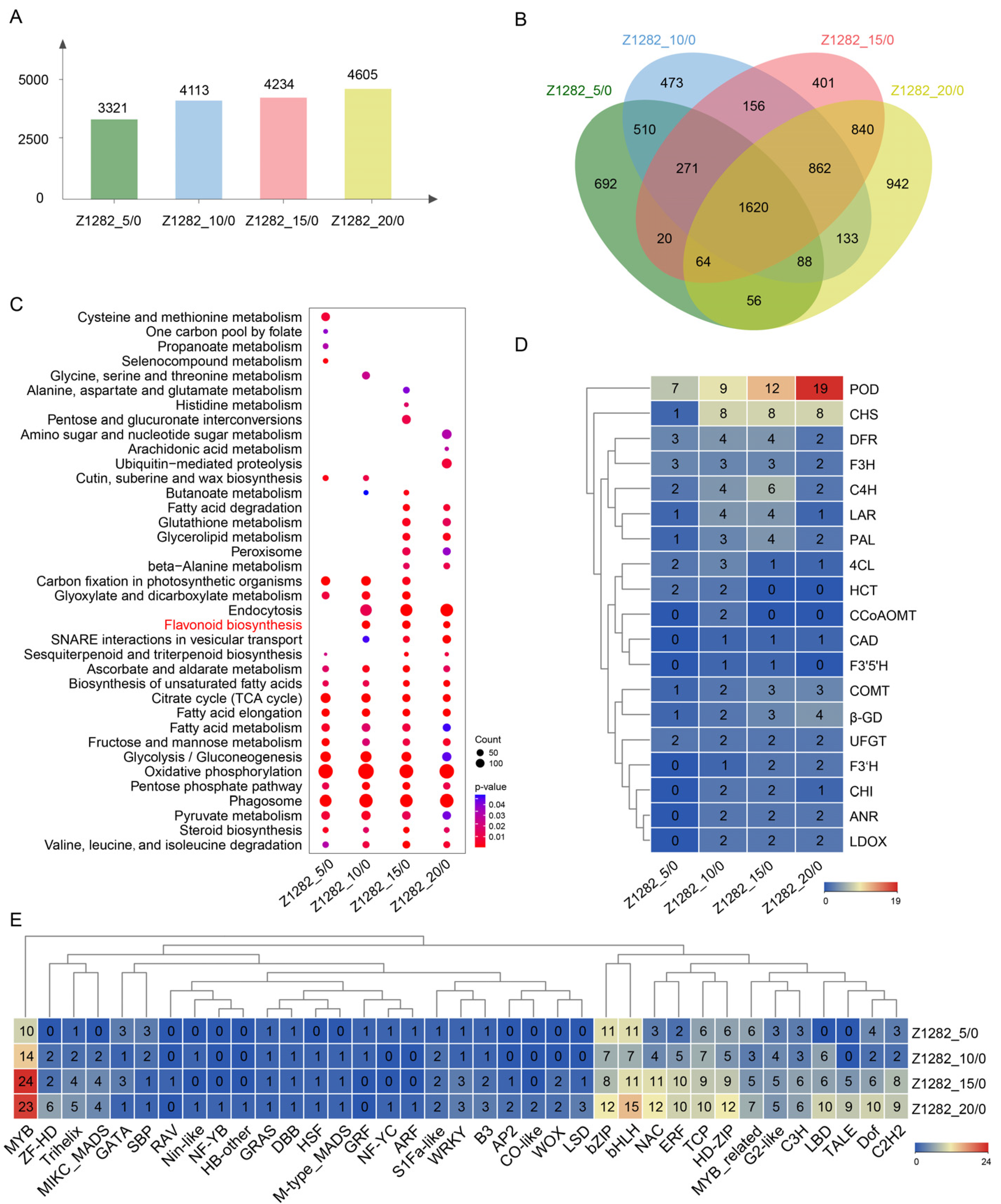 Plants 13 02028 g002
