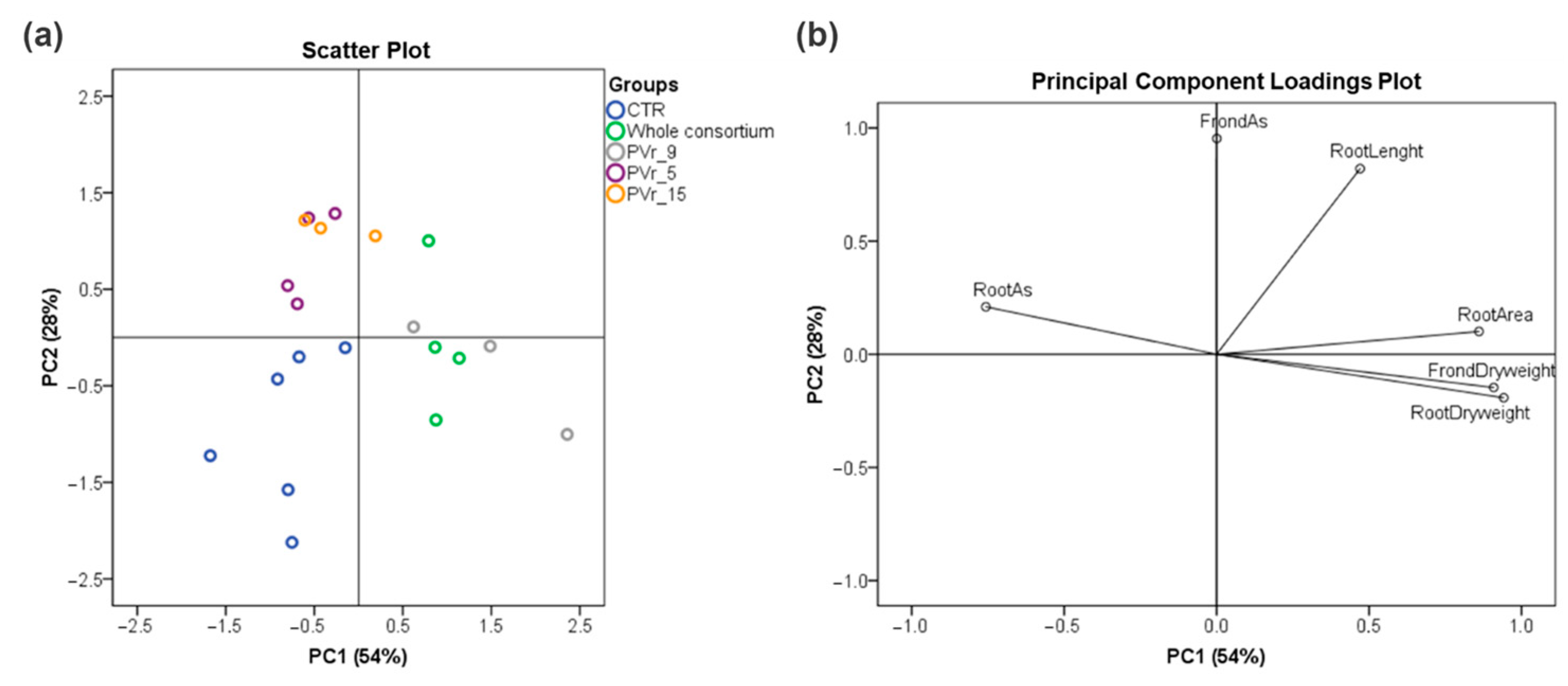 Plants 13 02030 g007 Plants 13 02030 g007
