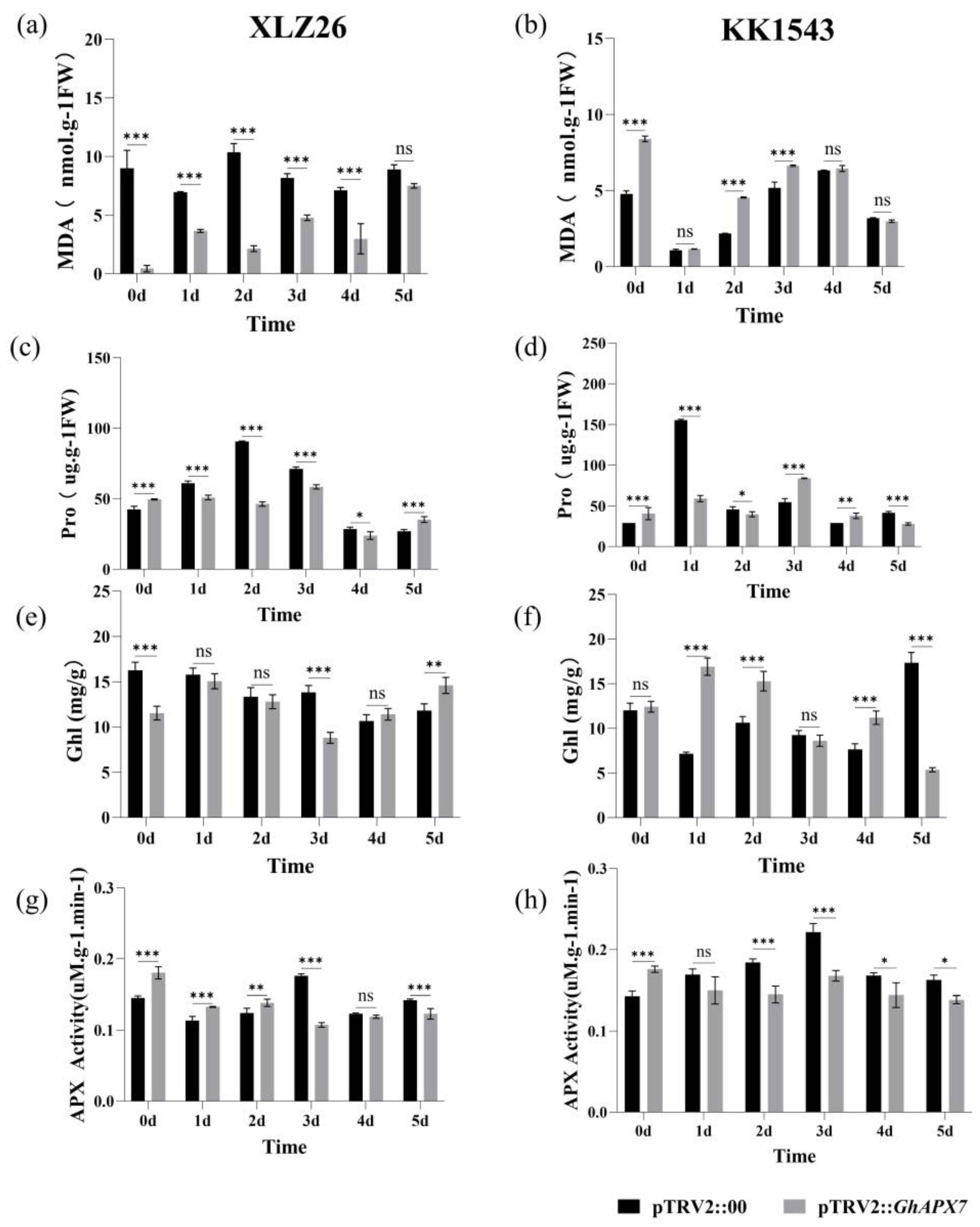 Plants 13 02032 g004