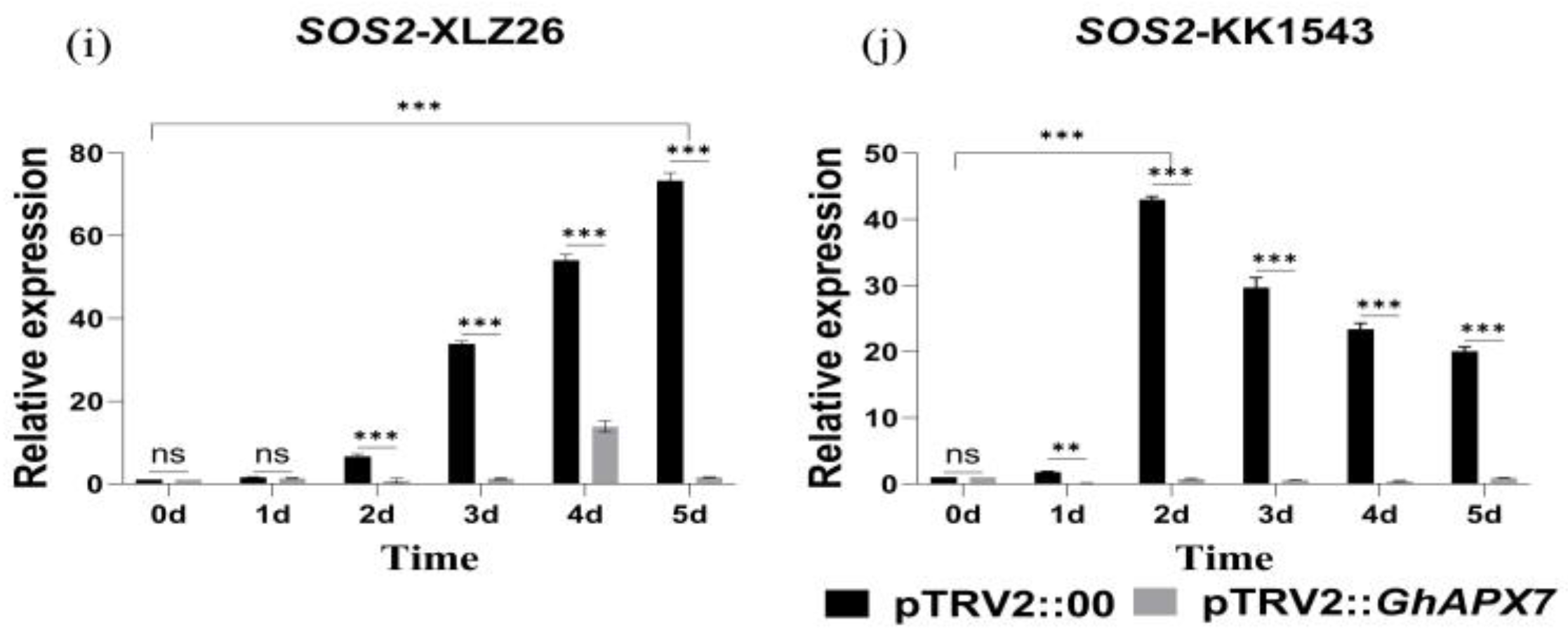 Plants 13 02032 g005b