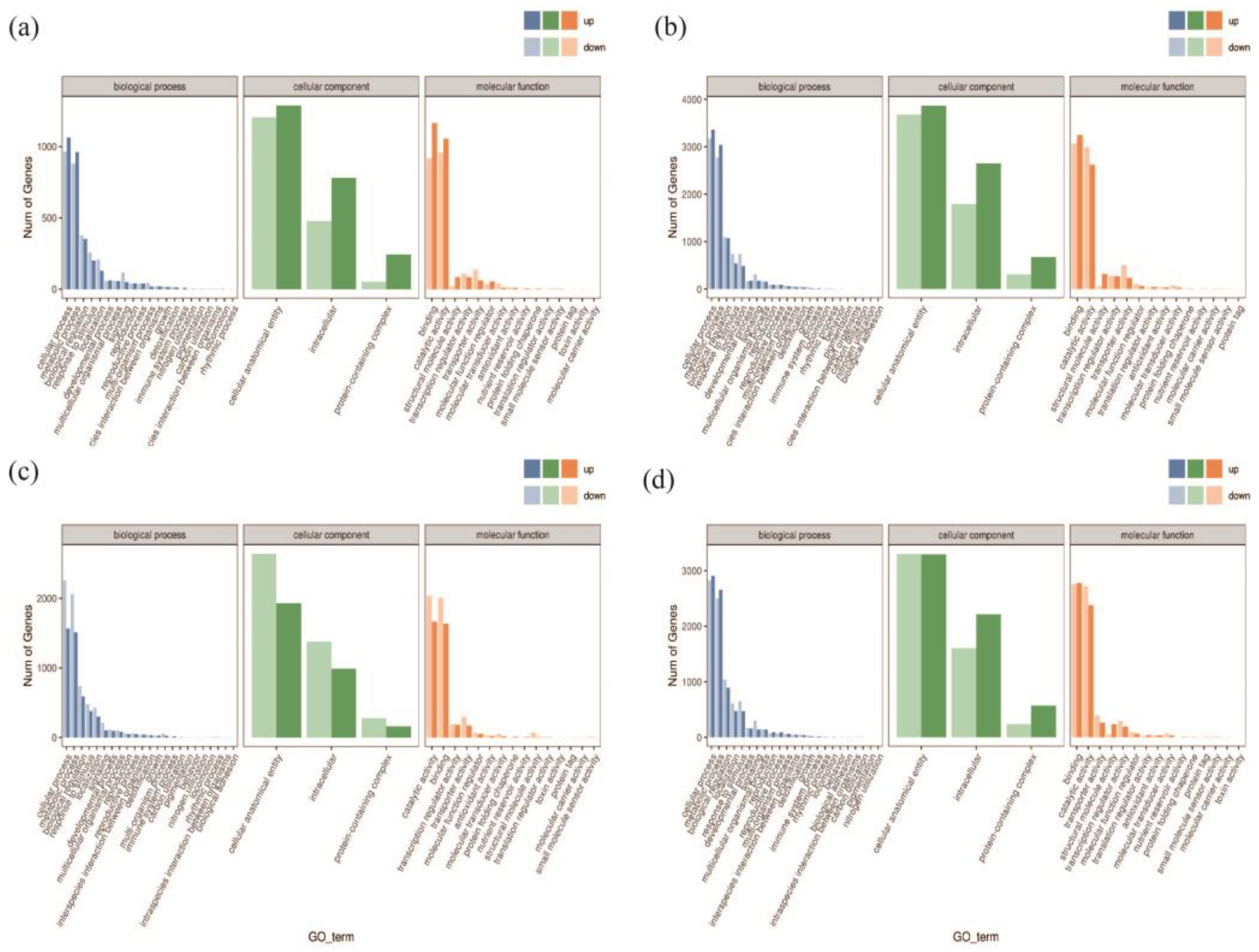 Plants 13 02032 g006