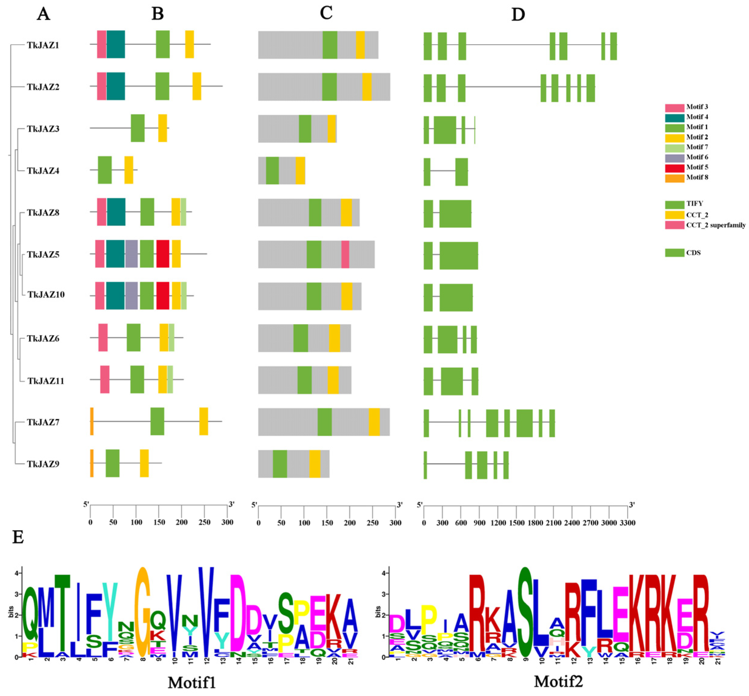 Plants 13 02034 g001