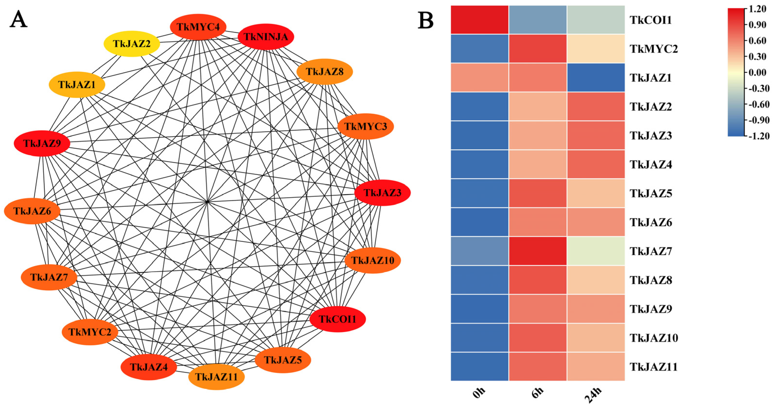 Plants 13 02034 g003