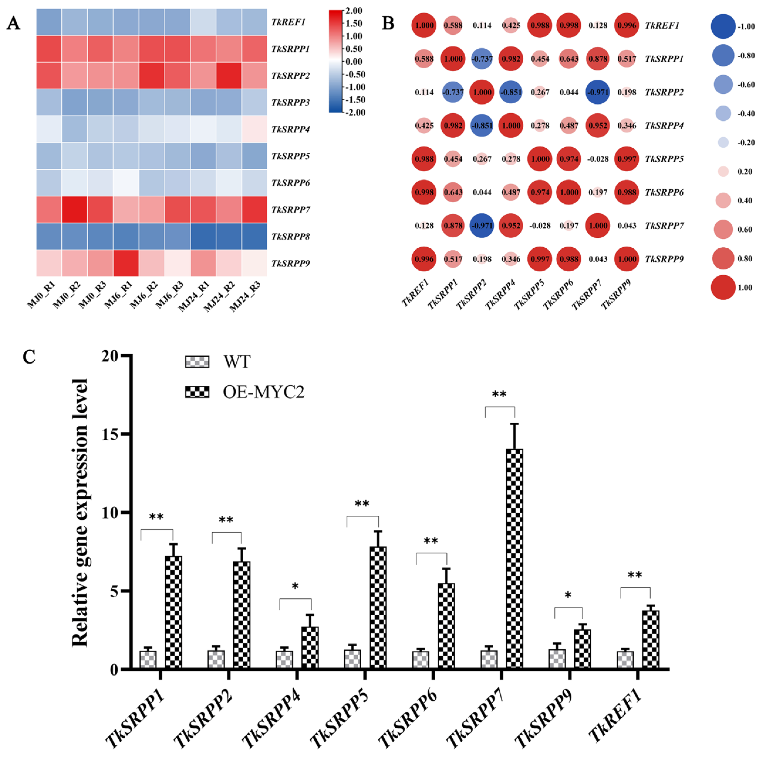 Plants 13 02034 g008