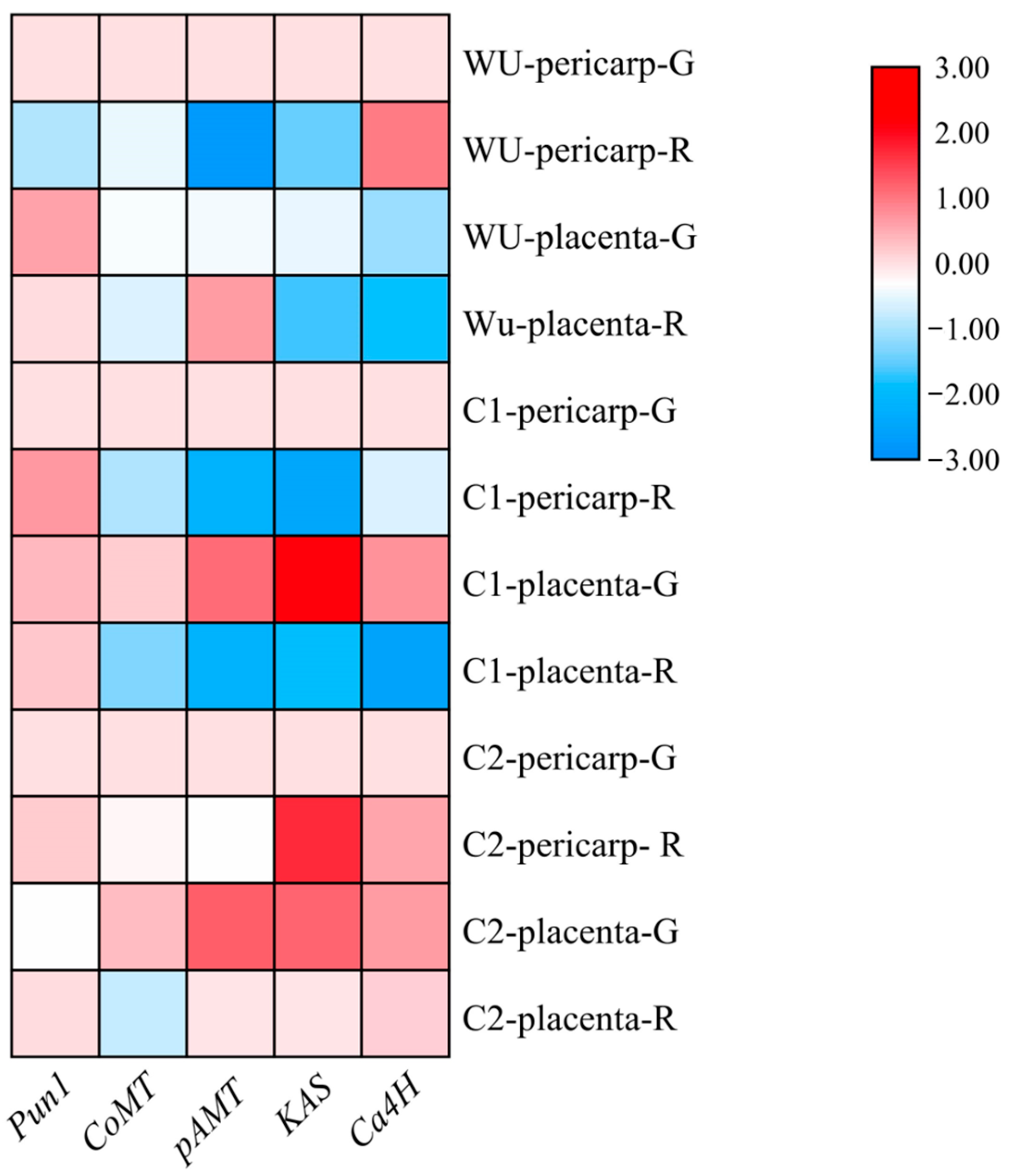 Plants 13 02038 g007