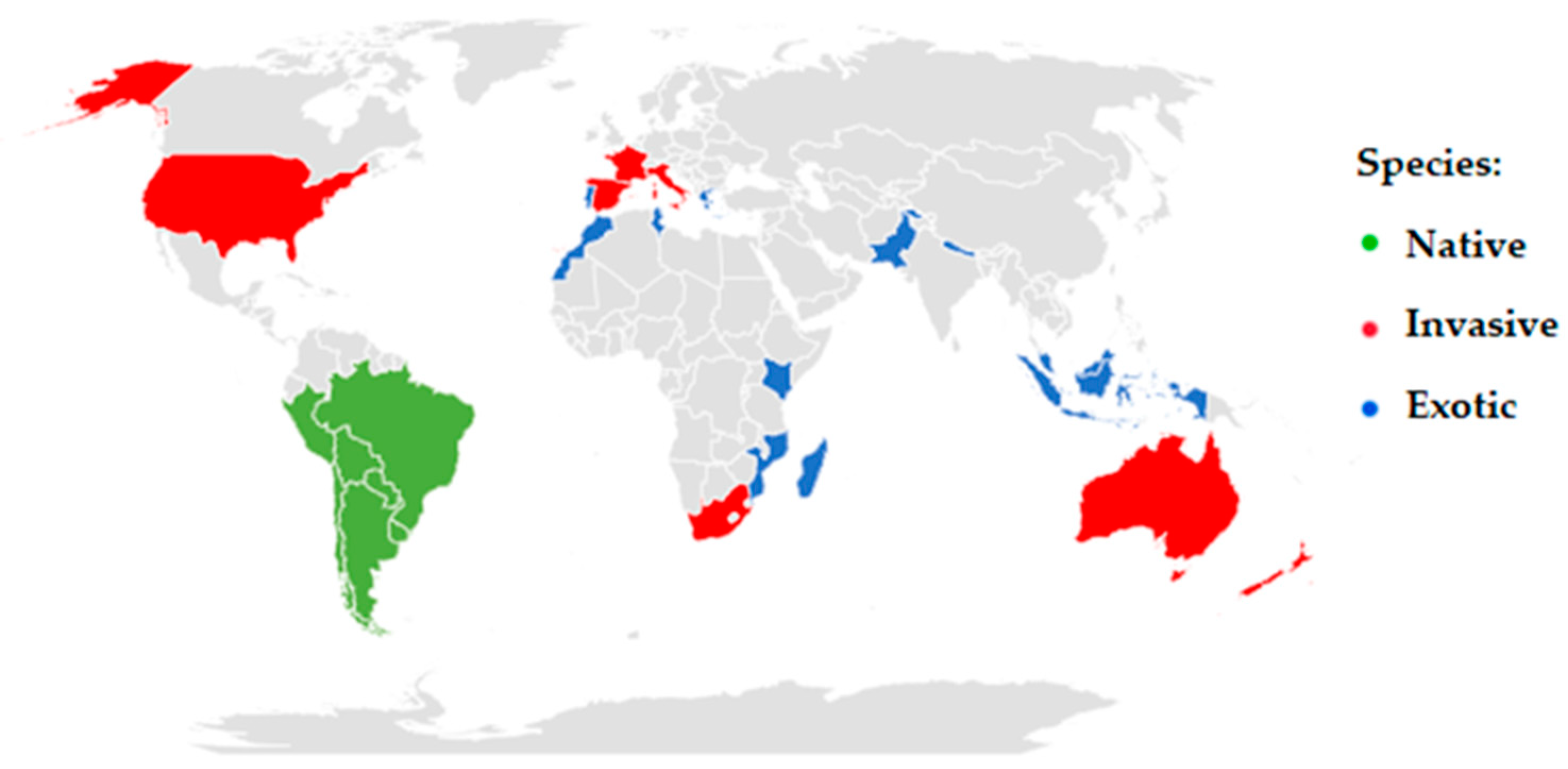 Plants 13 02044 g002 Plants 13 02044 g002