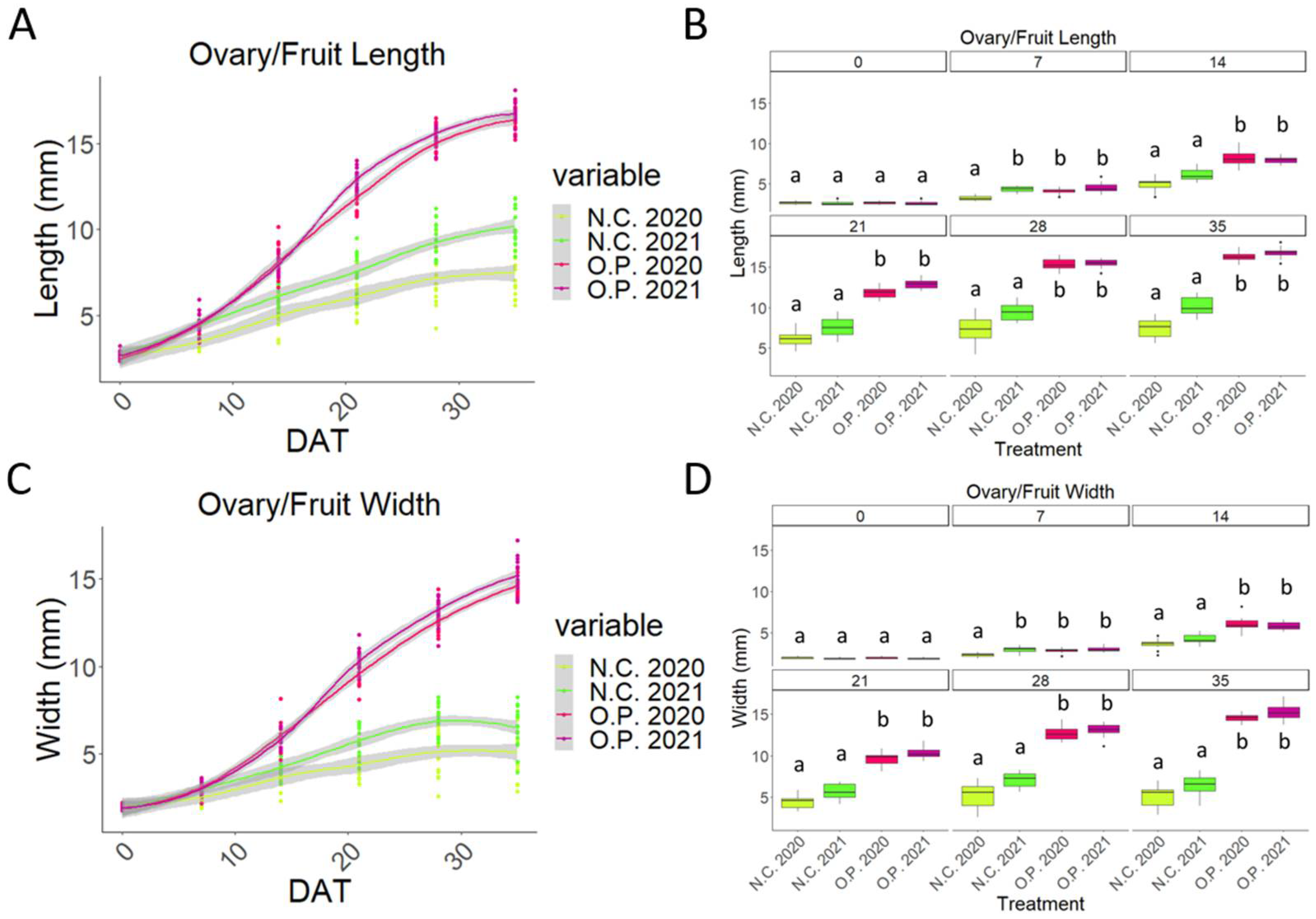 Plants 13 02052 g006