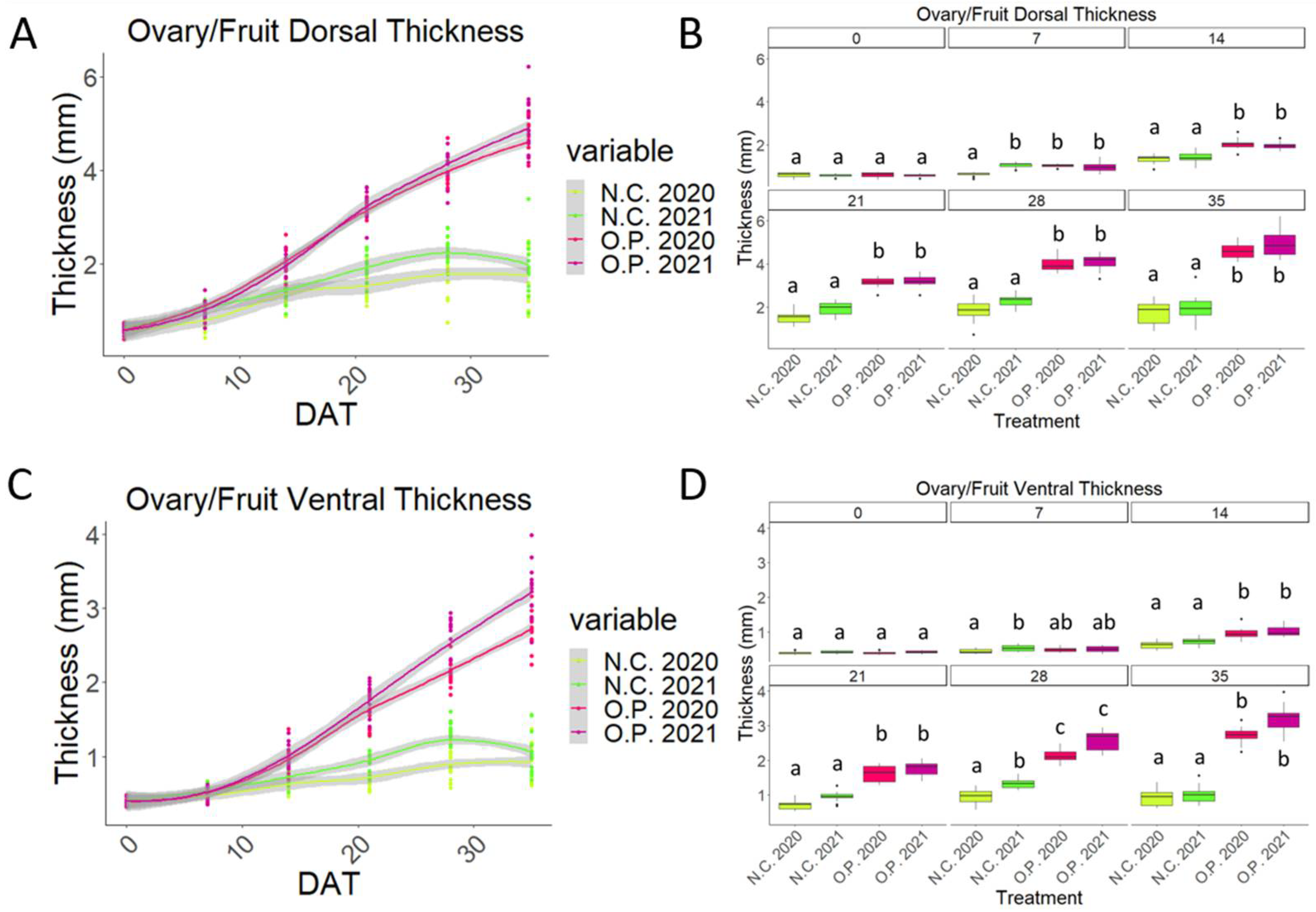 Plants 13 02052 g007