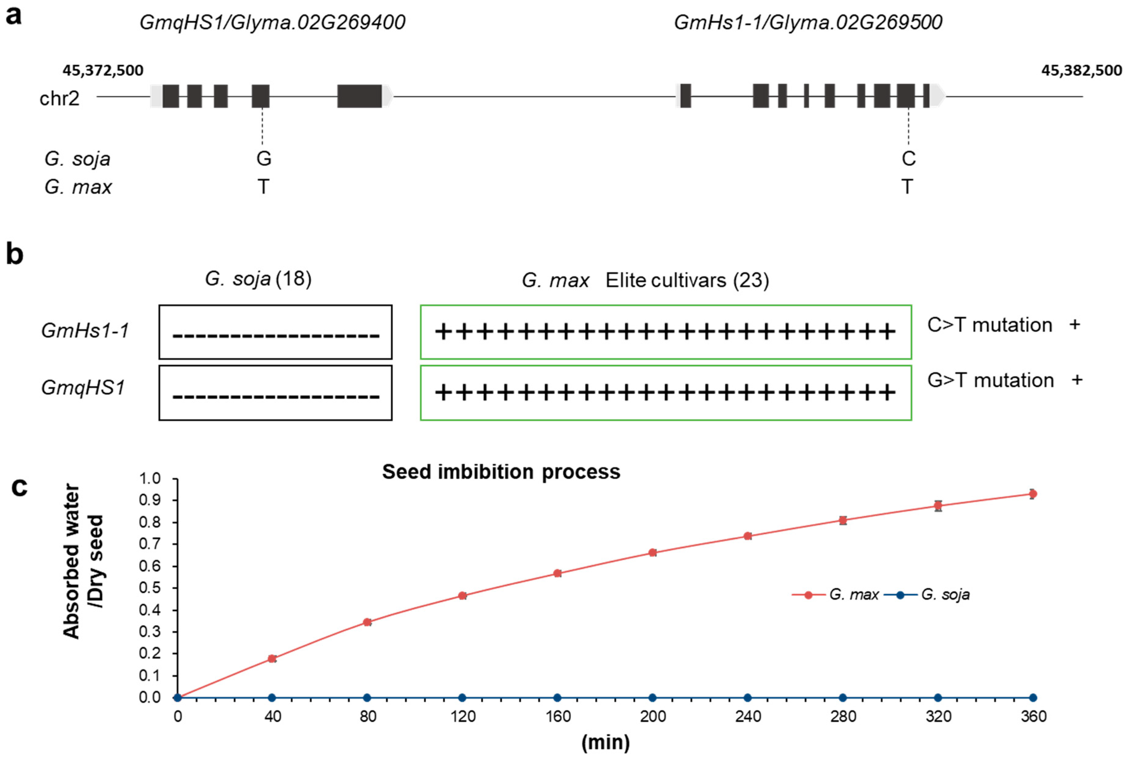 Plants 13 02061 g001