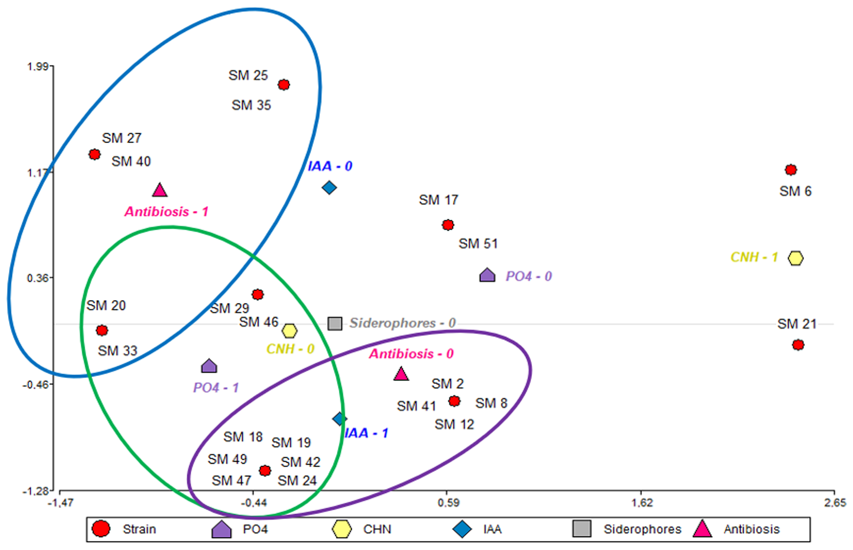 Plants 13 02062 g002