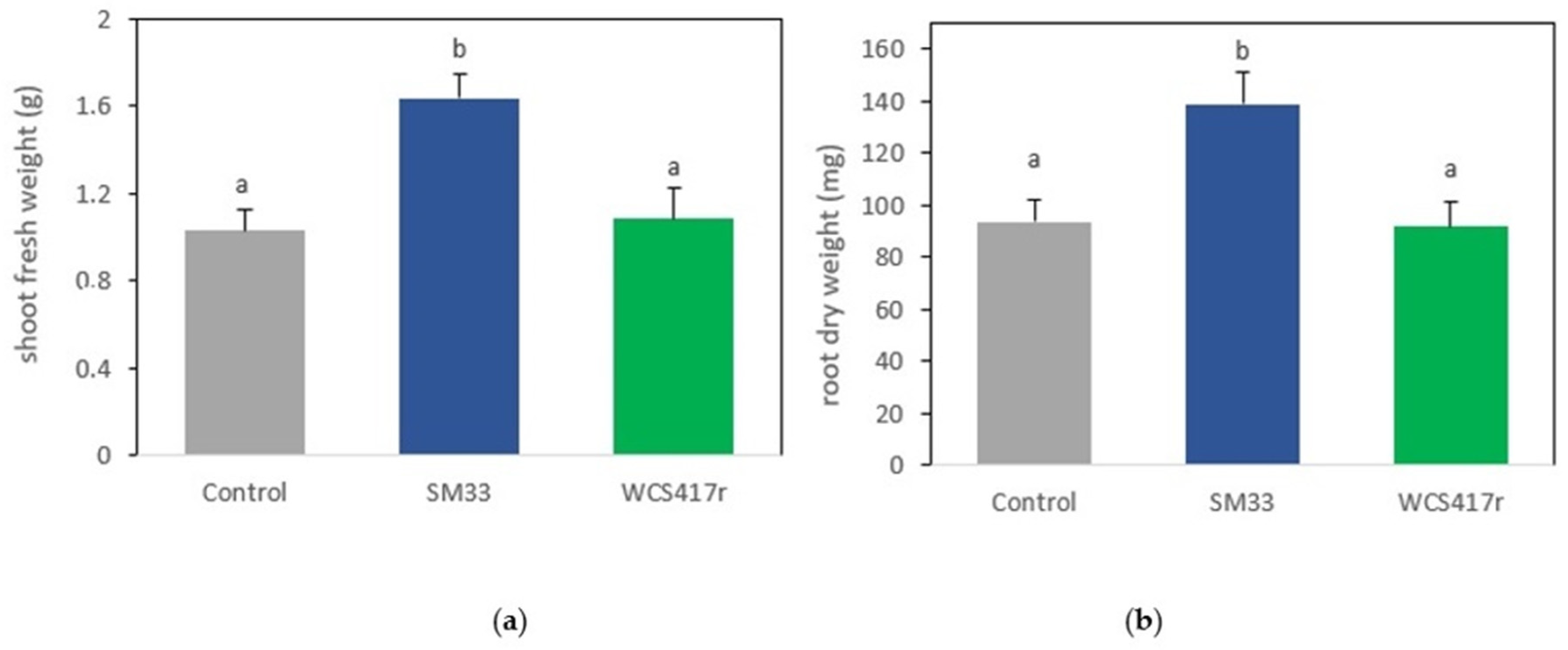 Plants 13 02062 g004