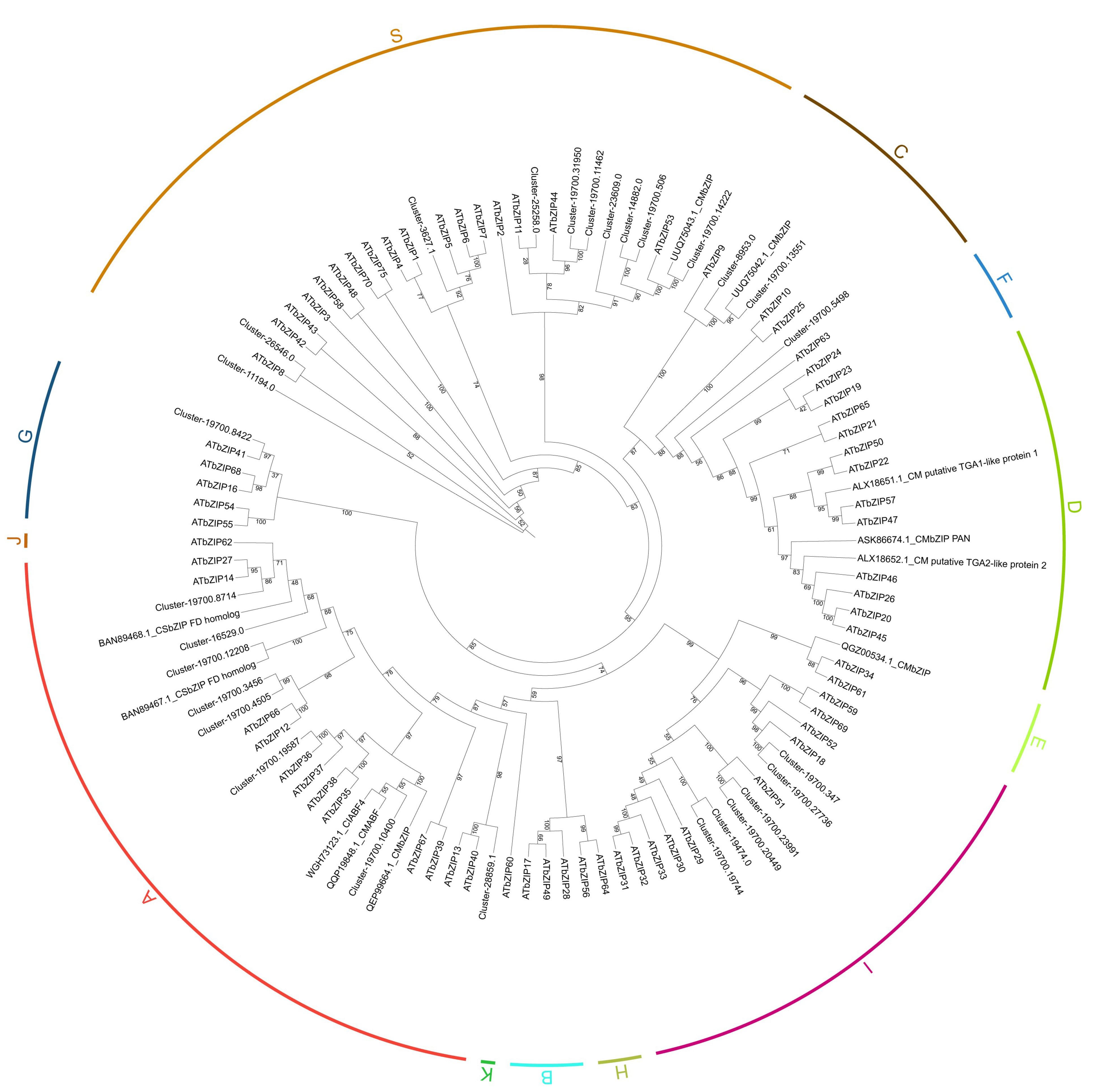 Plants 13 02064 g001