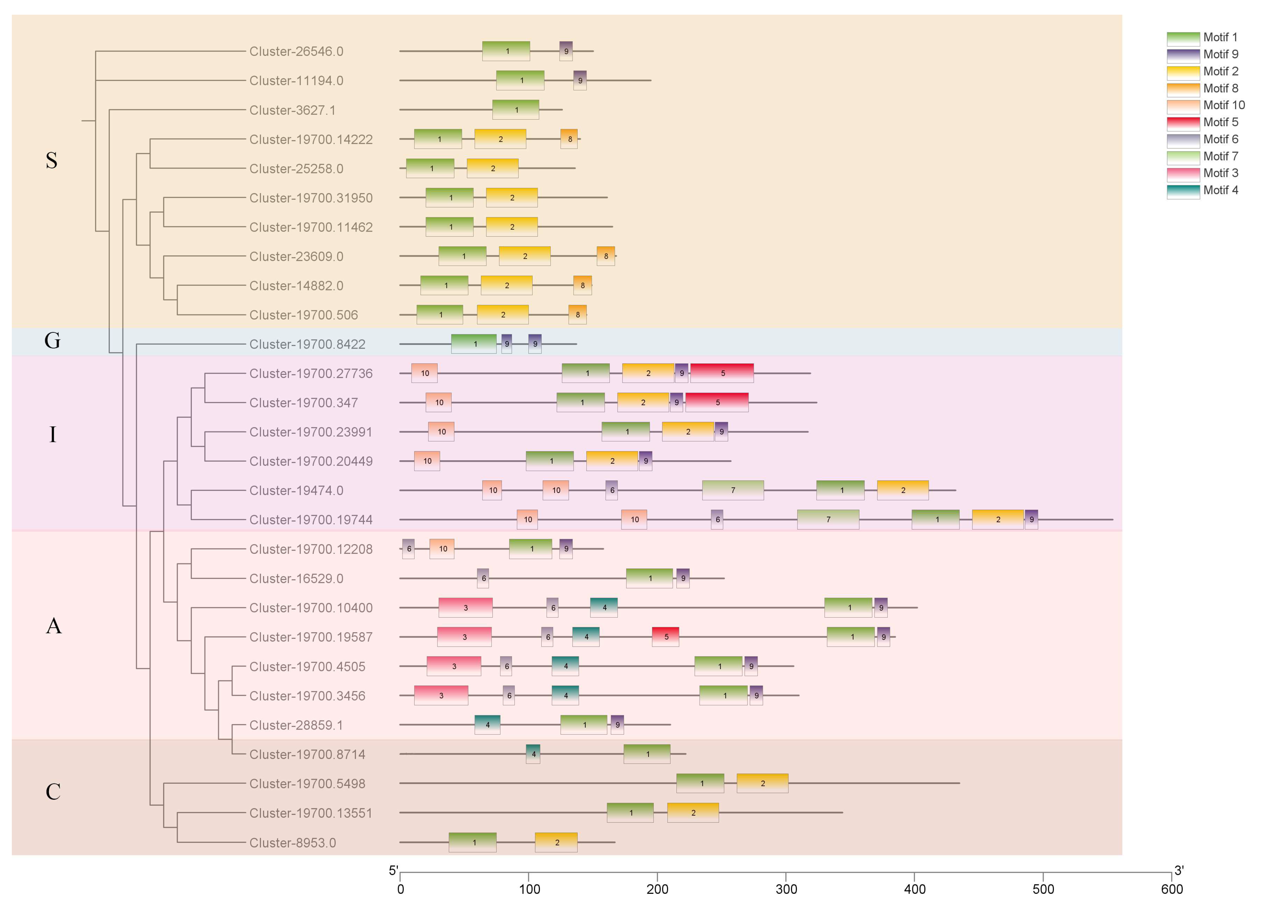 Plants 13 02064 g002