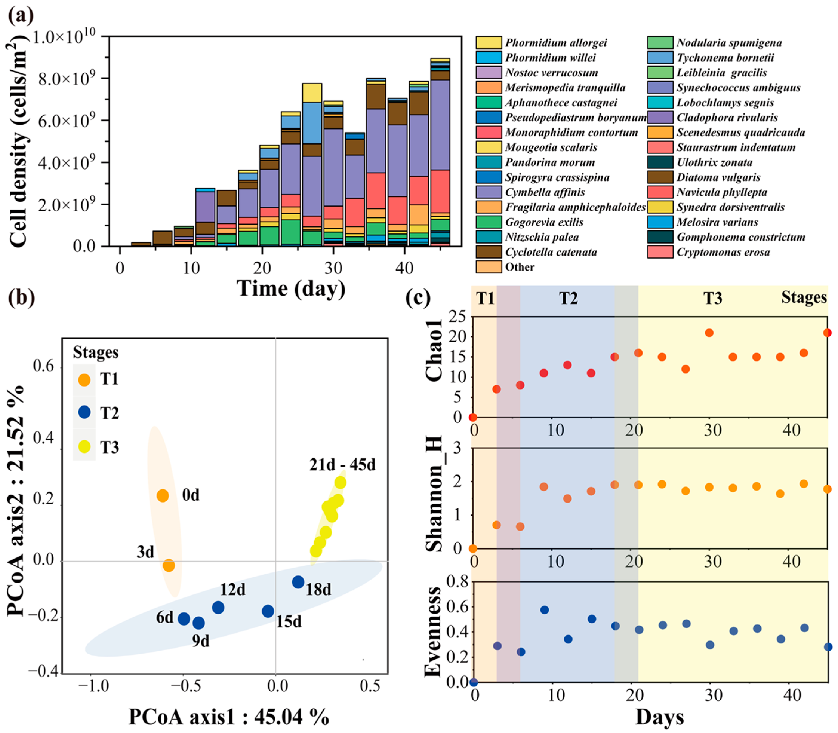 Plants 13 02067 g001