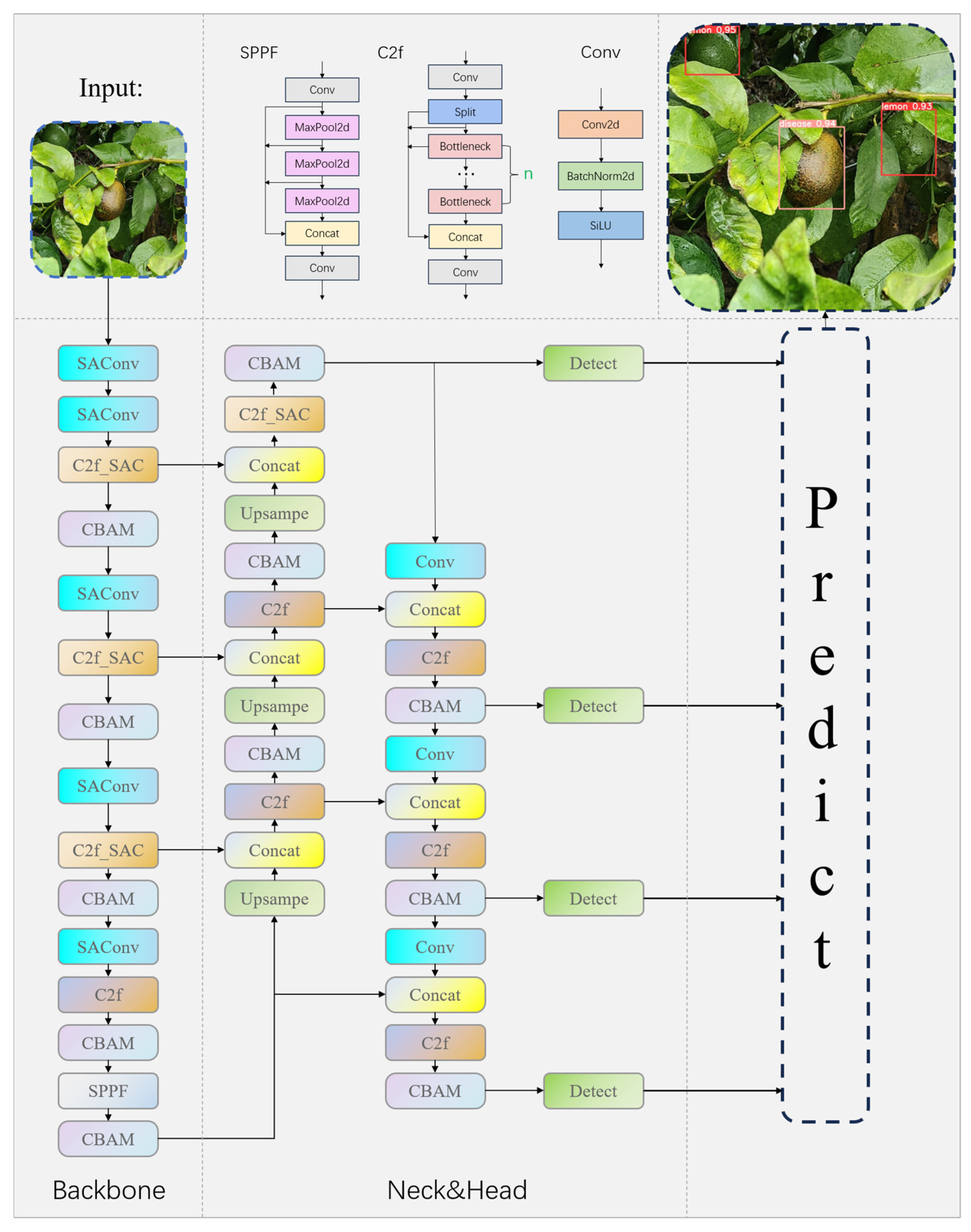 Plants 13 02069 g003