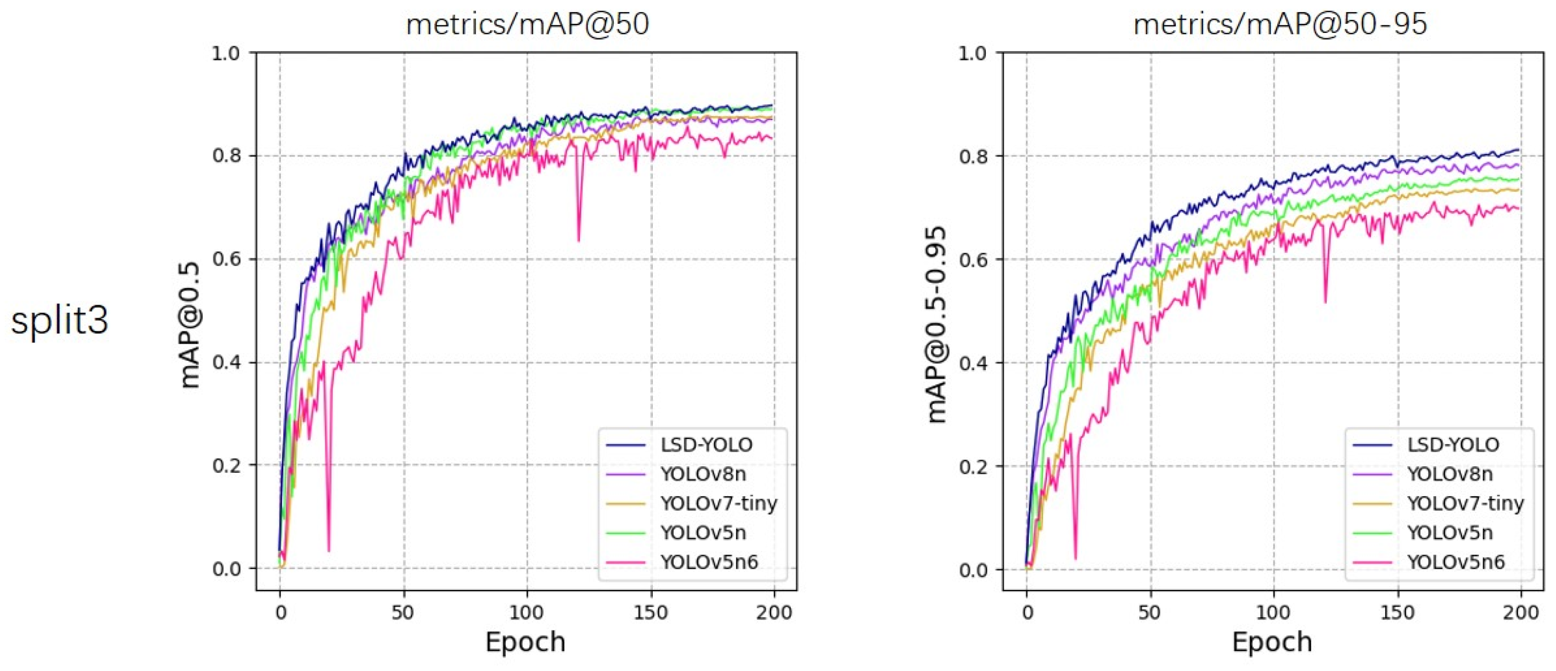 Plants 13 02069 g007