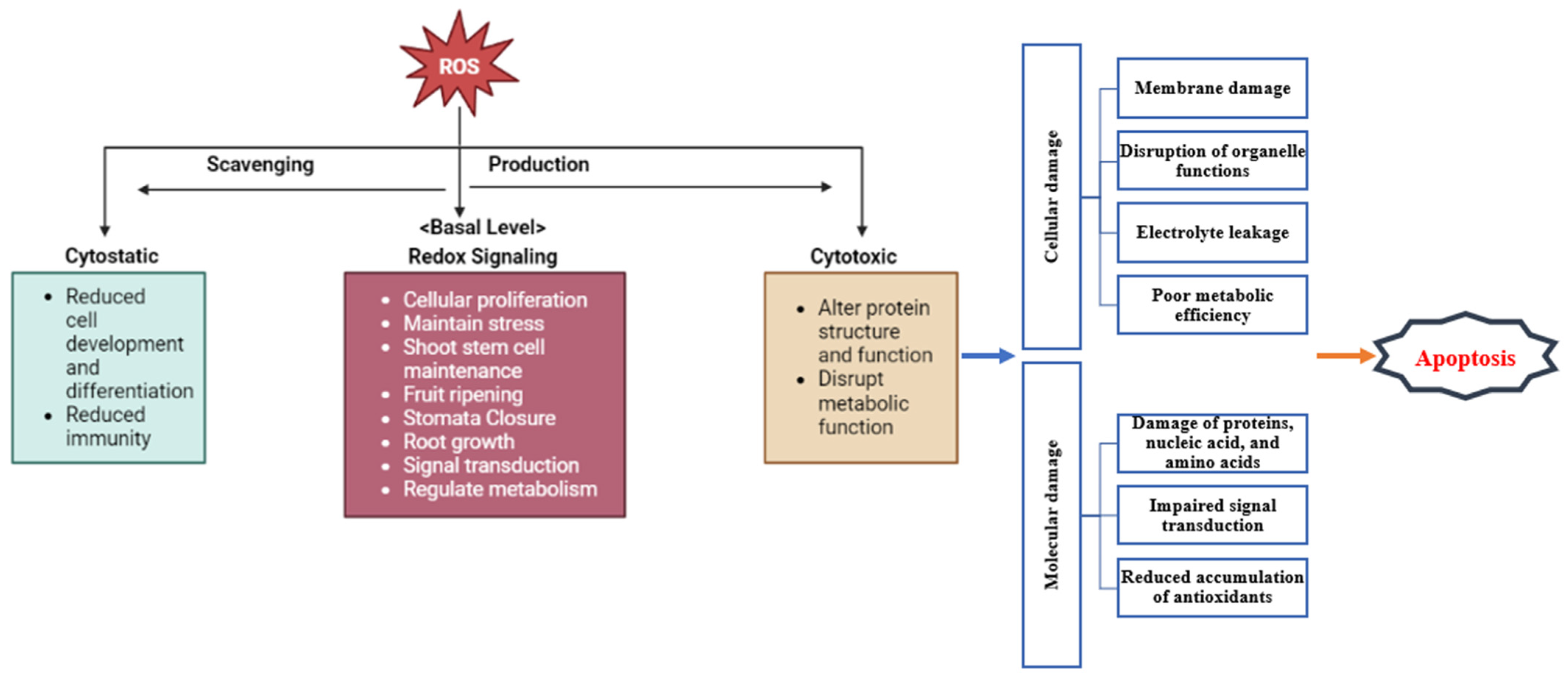 Plants 13 02071 g008