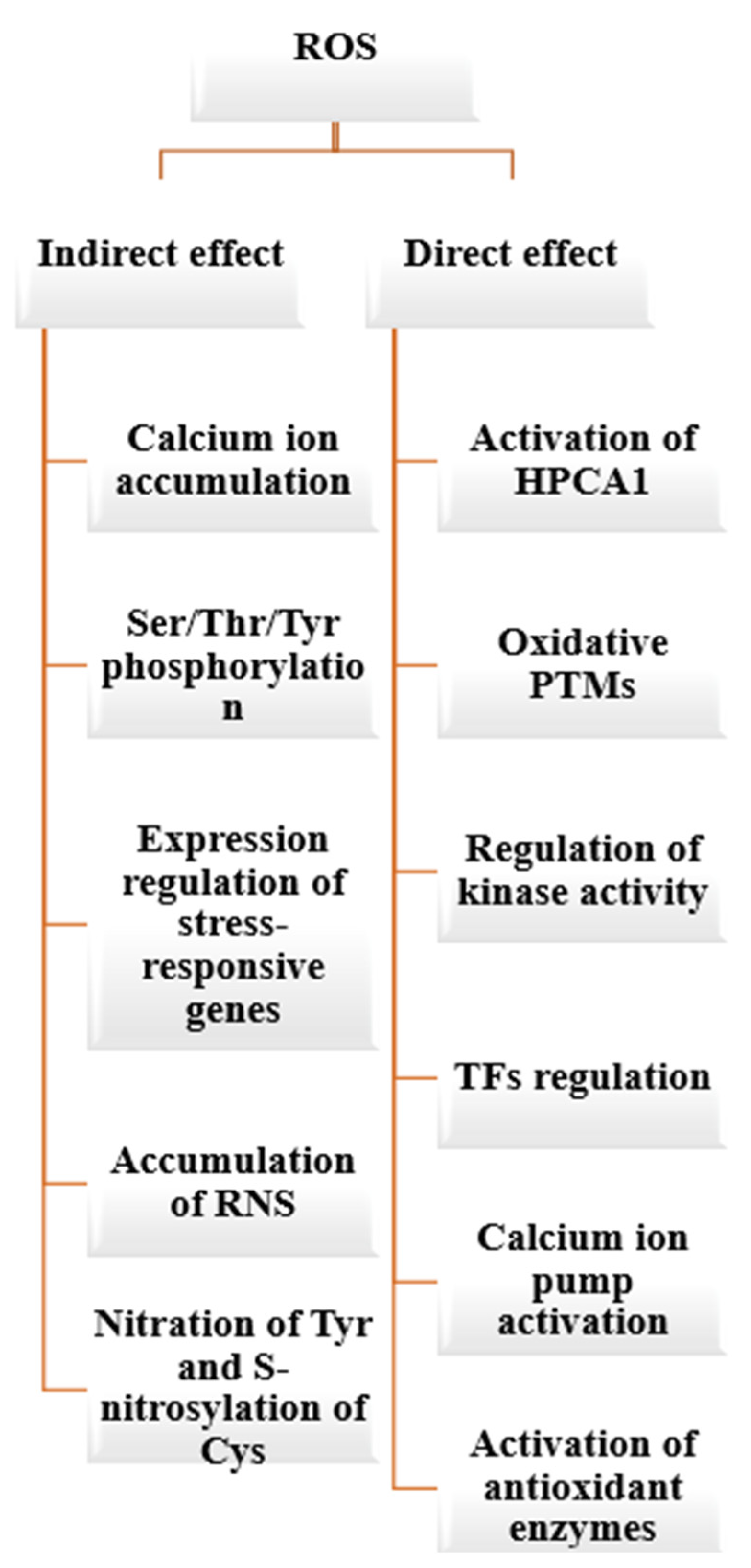 Plants 13 02071 g009