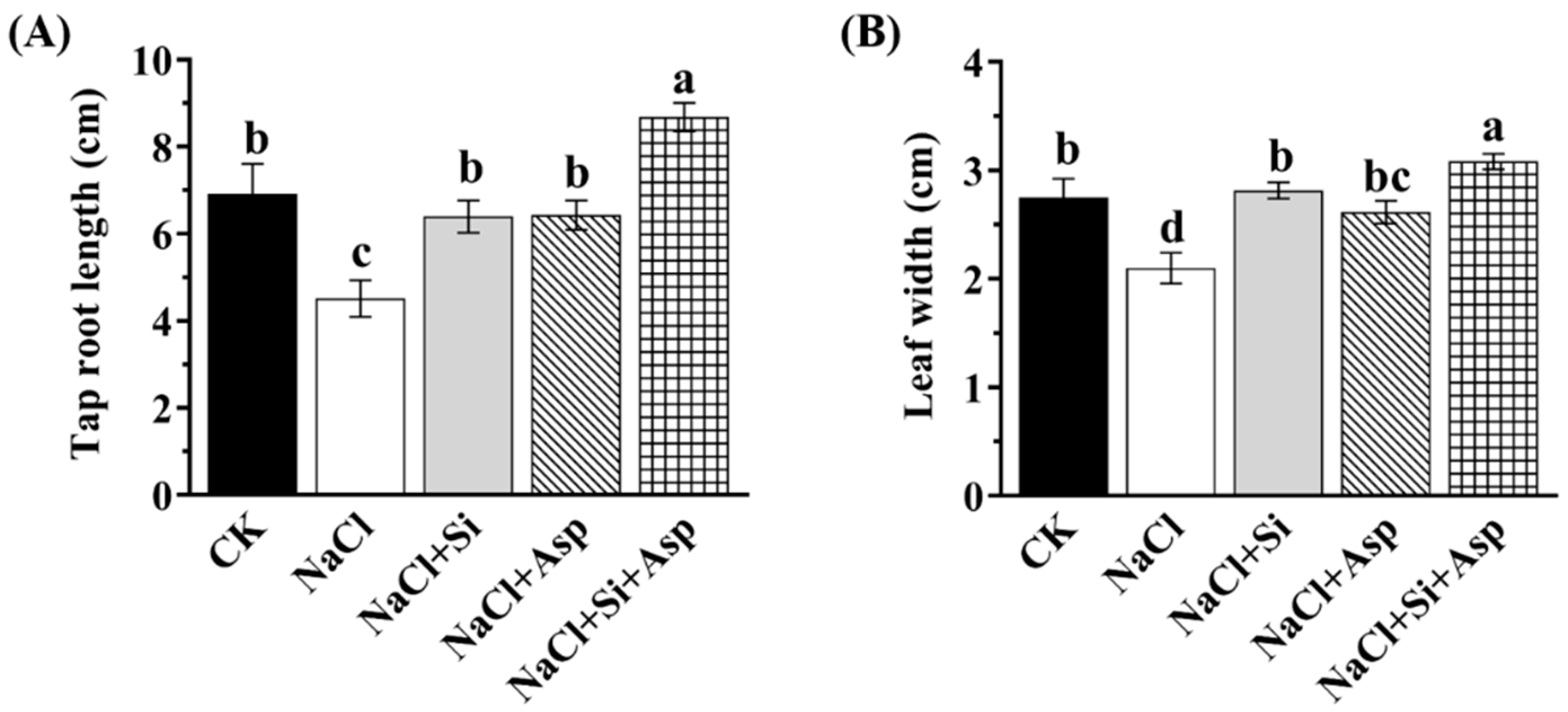 Plants 13 02072 g002