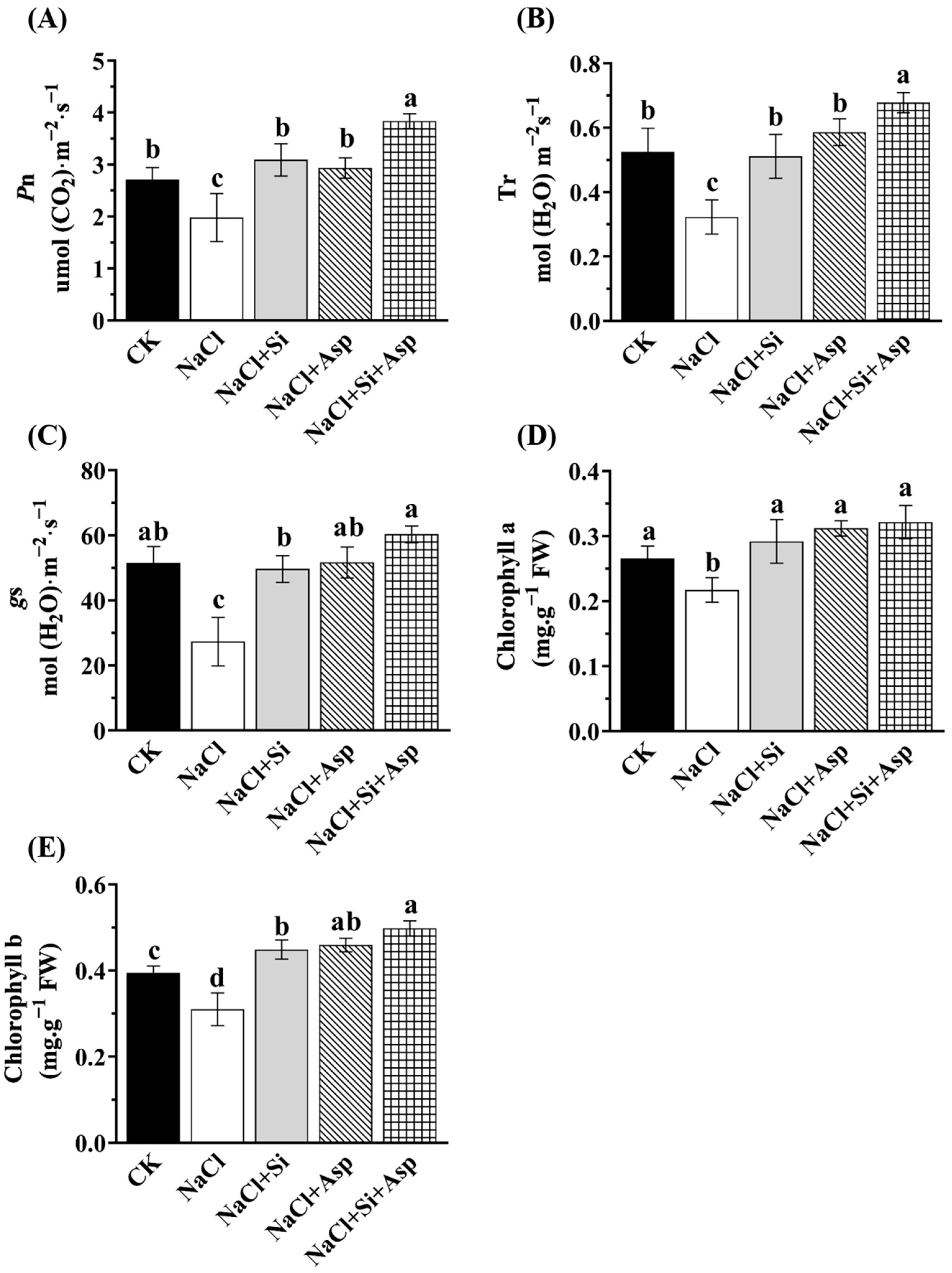 Plants 13 02072 g003