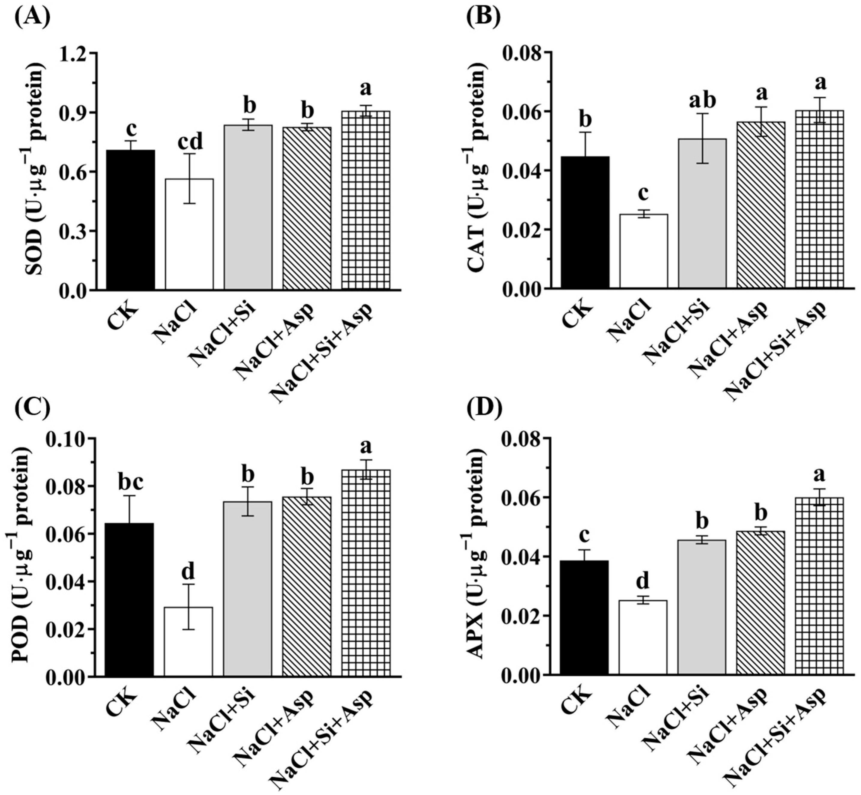 Plants 13 02072 g006
