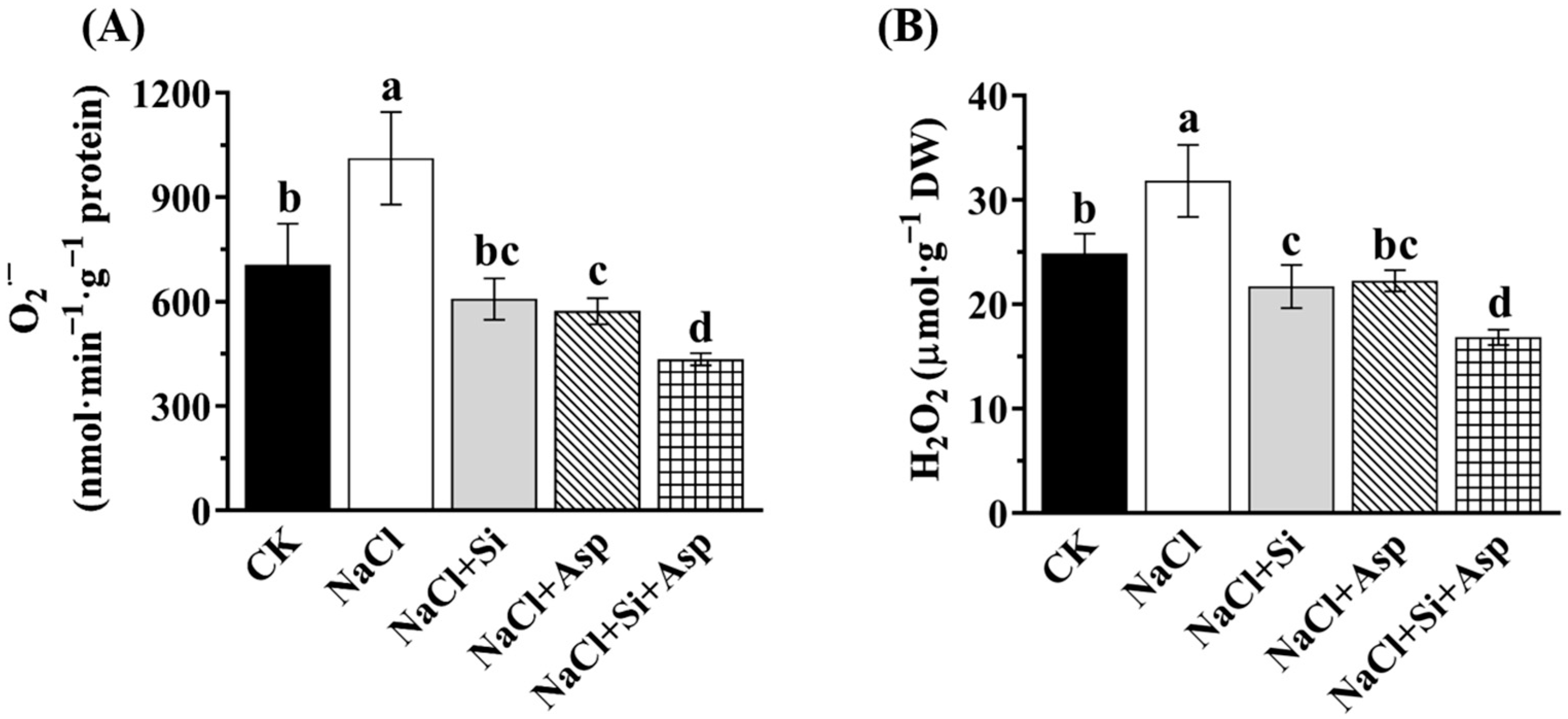 Plants 13 02072 g007