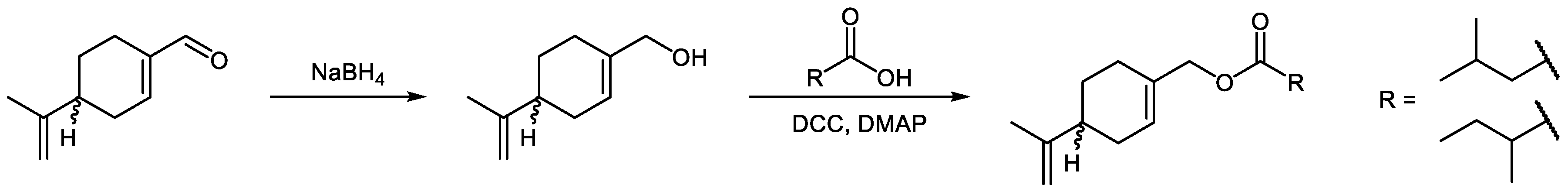 Plants 13 02076 g001