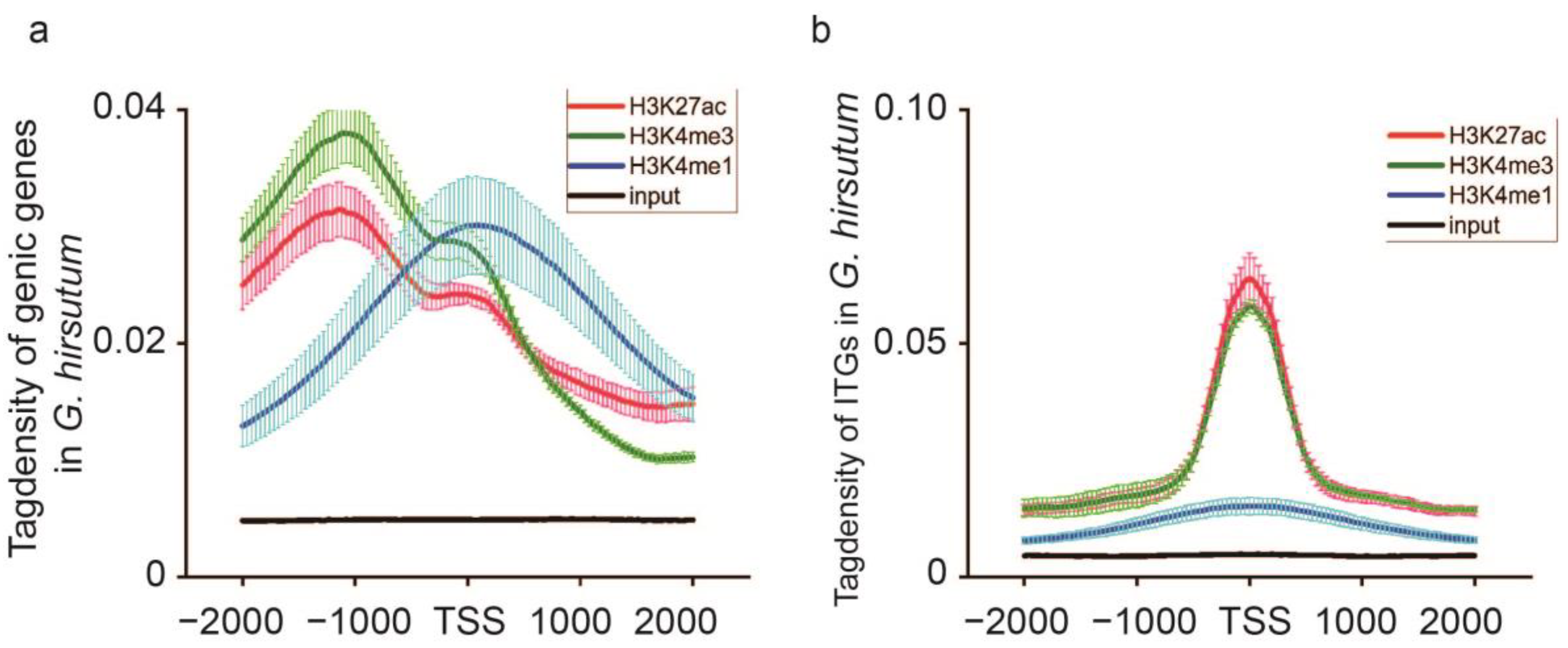 Plants 13 02079 g004