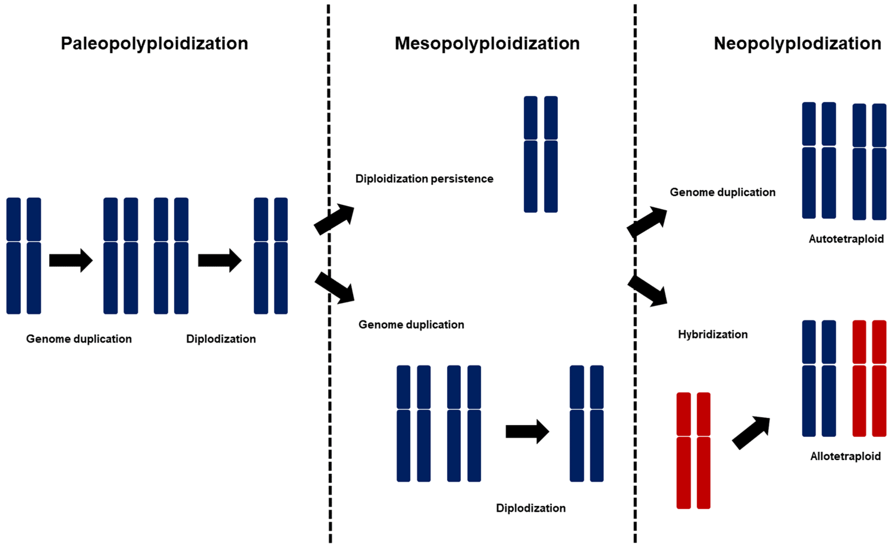 Plants 13 02087 g001