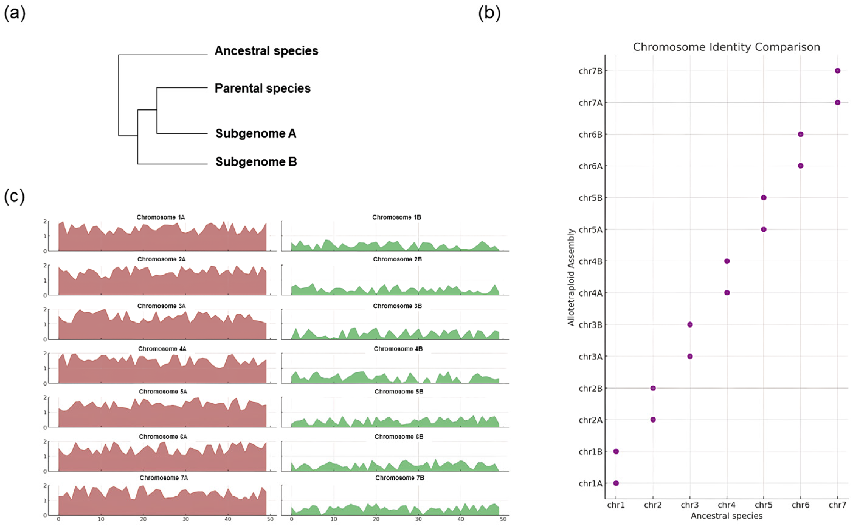 Plants 13 02087 g003