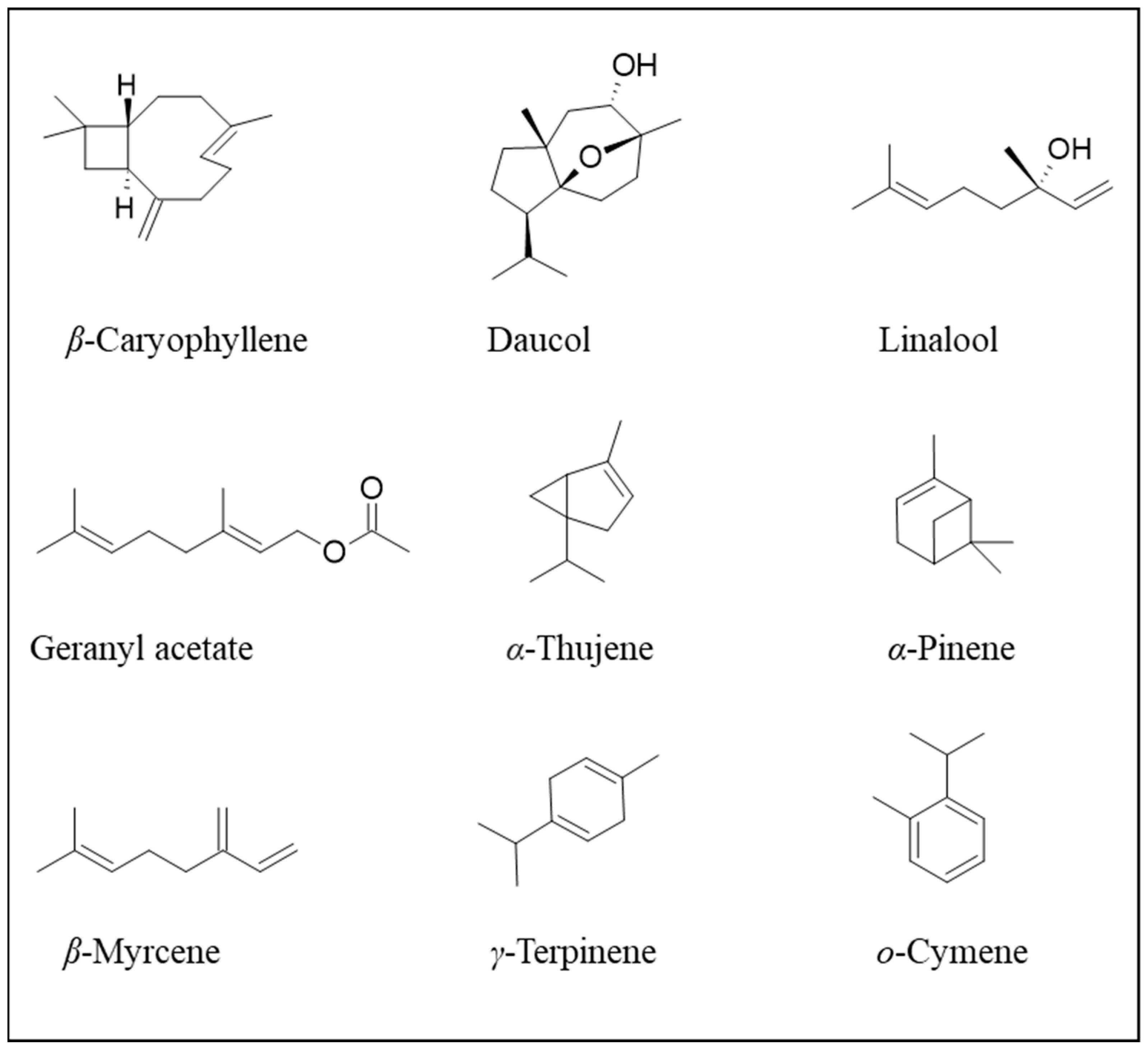 Plants 13 02092 g004