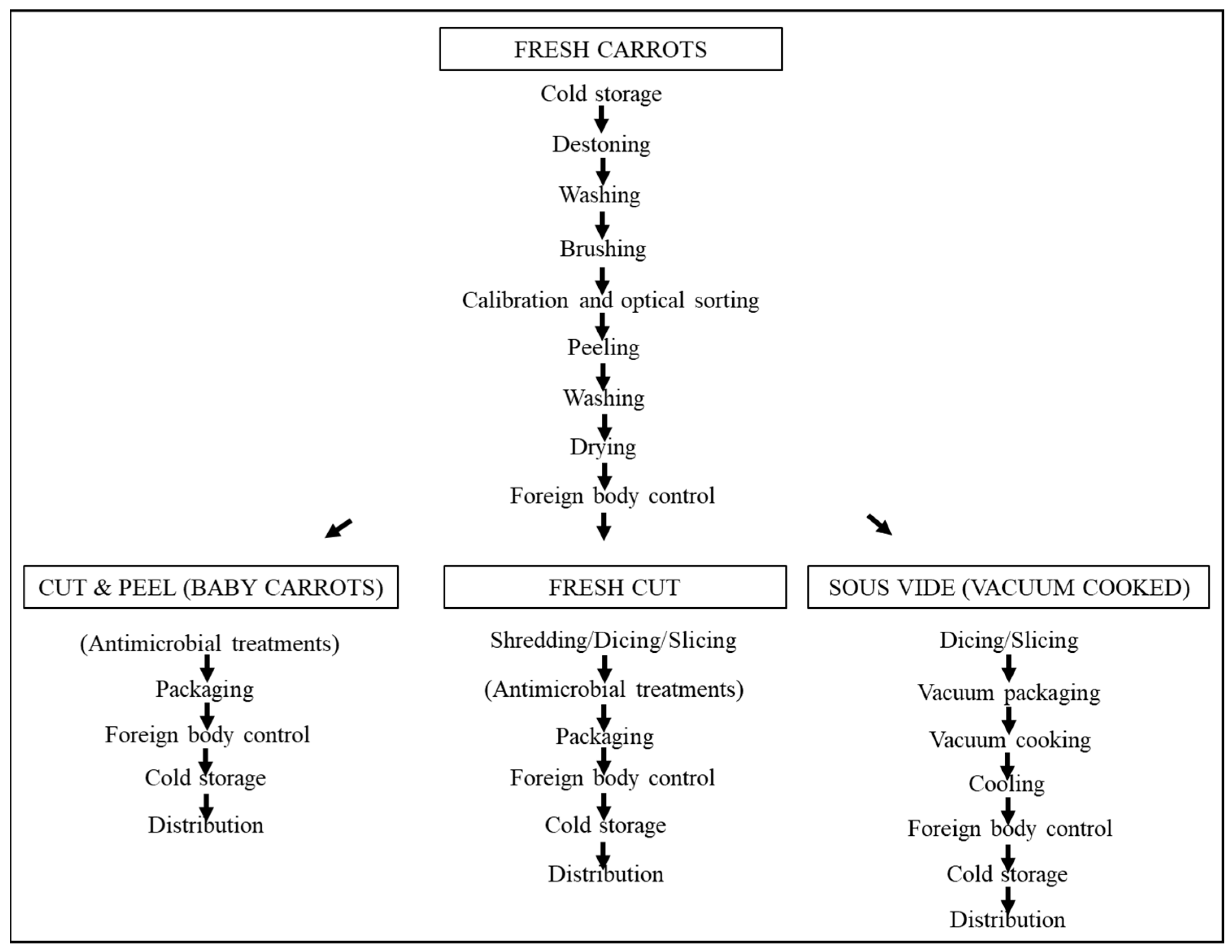 Plants 13 02092 g008
