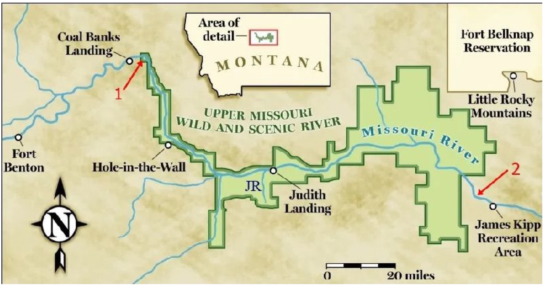 Plants 13 02106 g005