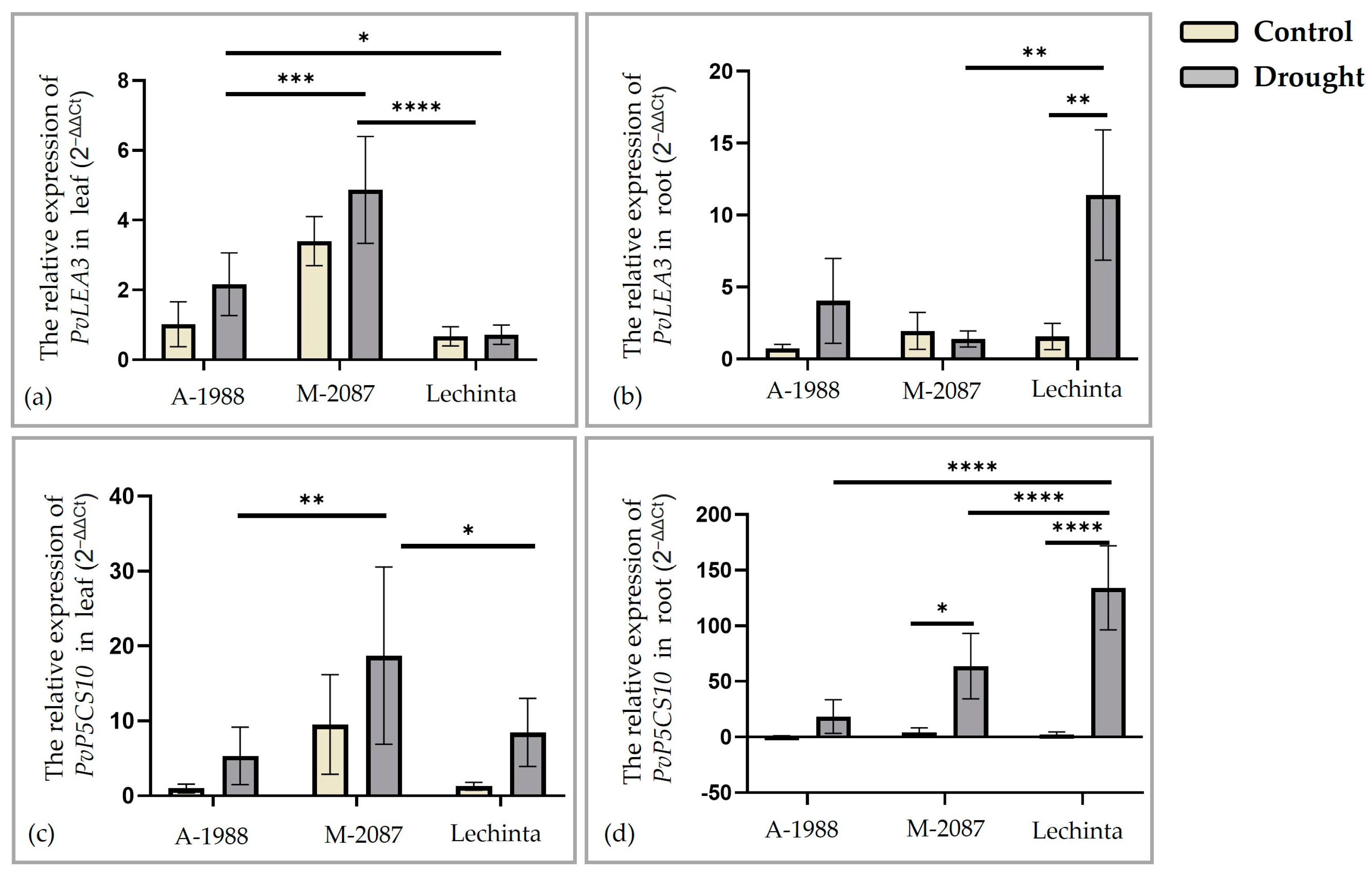Plants 13 02111 g011