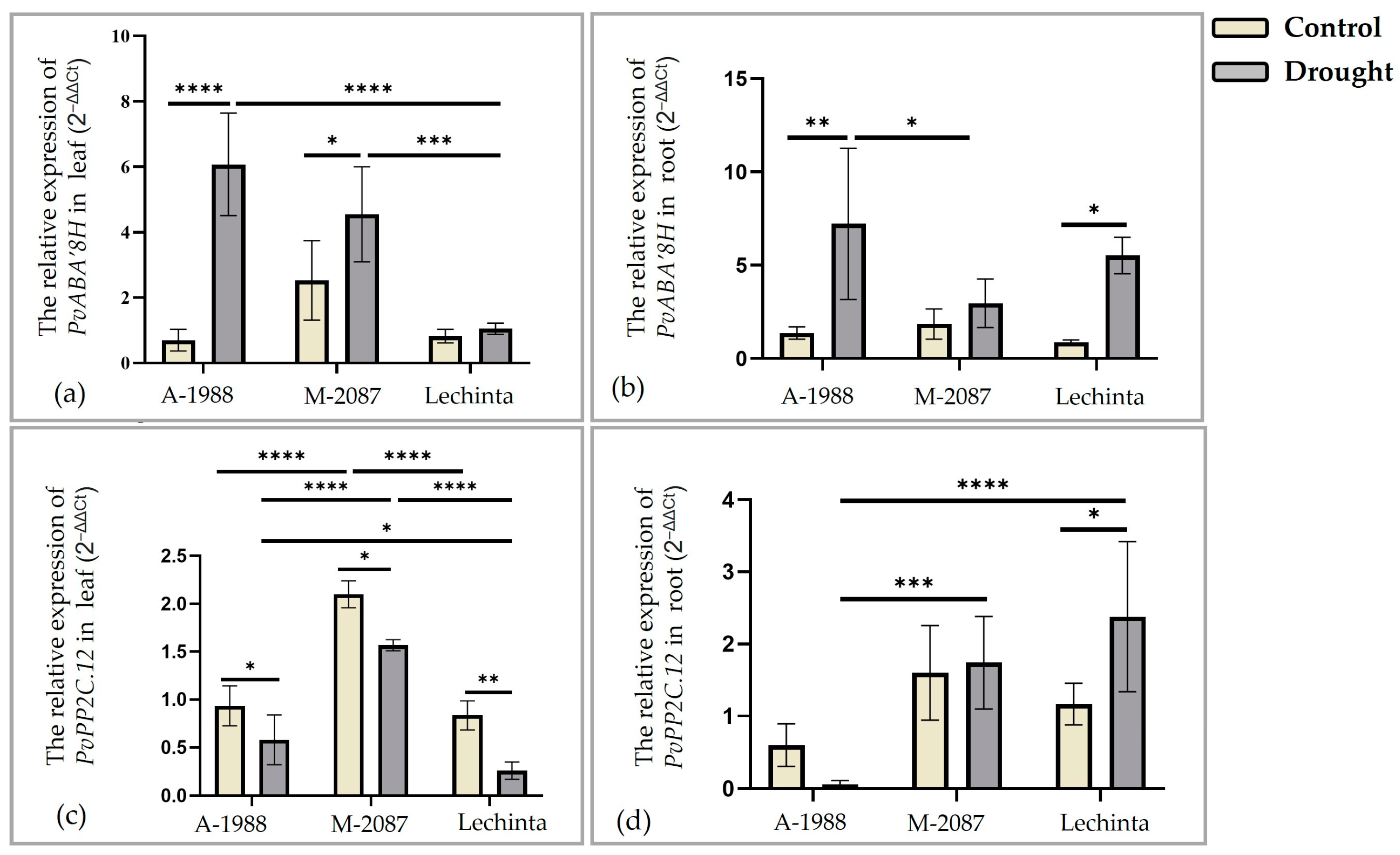 Plants 13 02111 g012