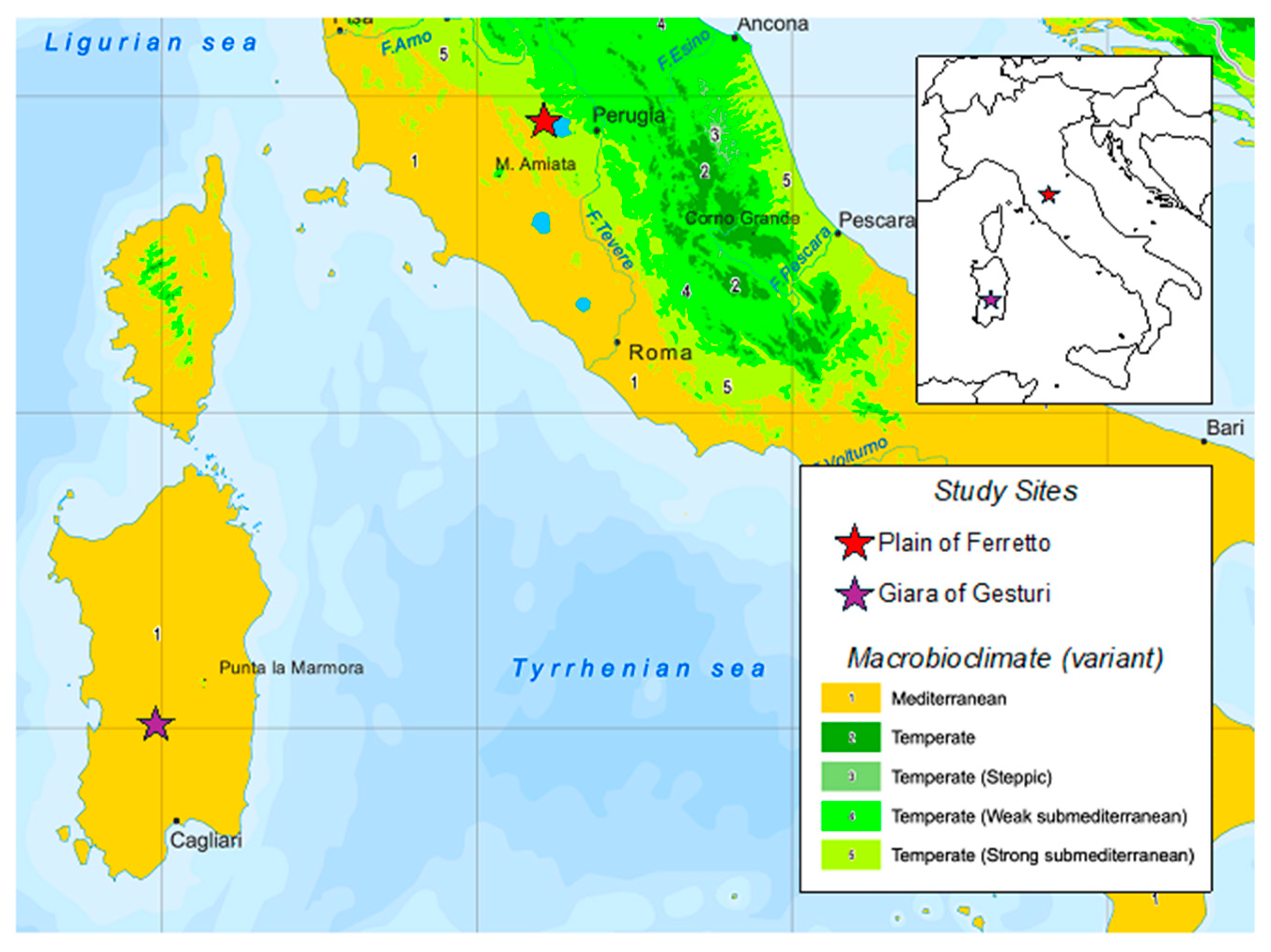 Plants 13 02113 g001