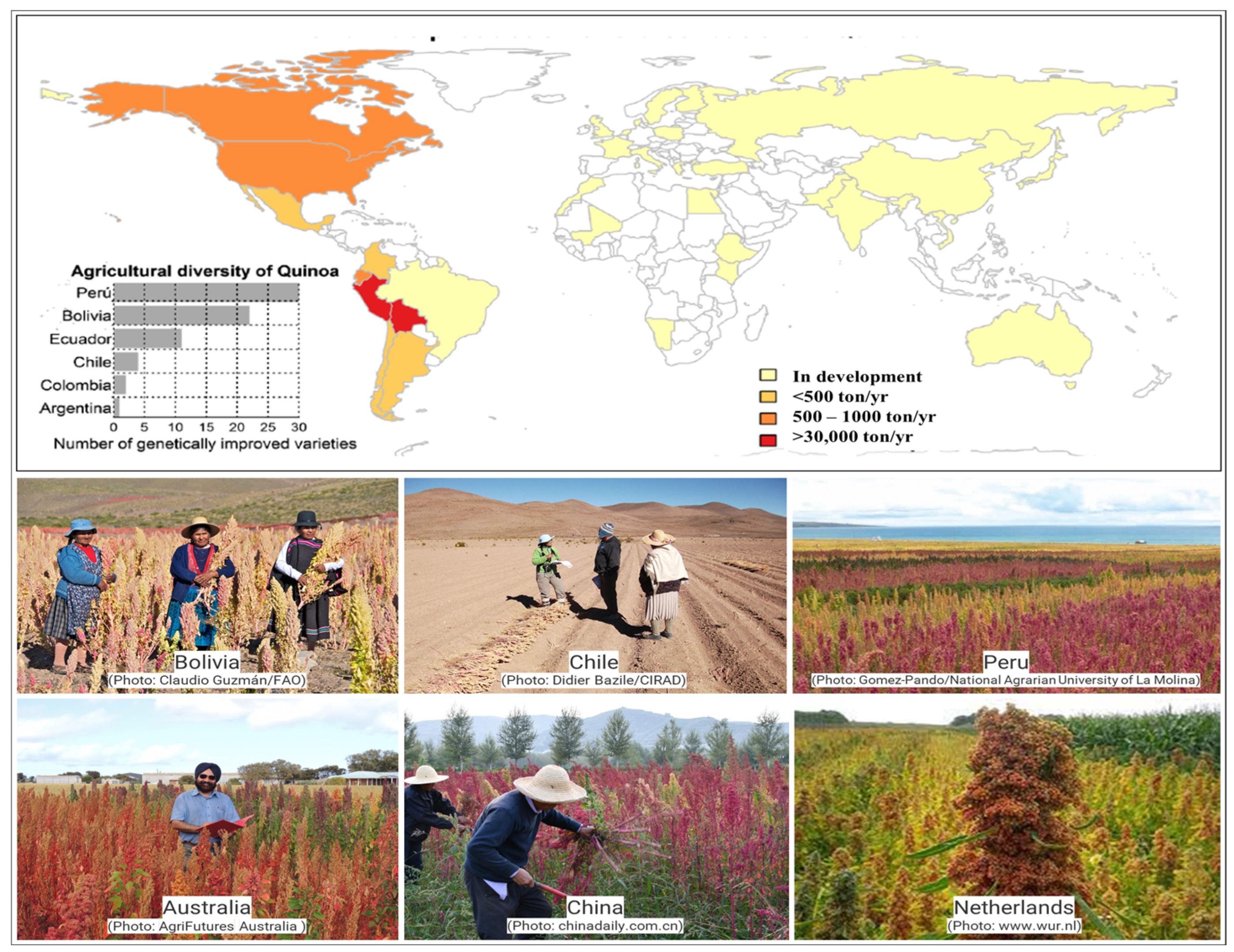 Plants 13 02117 g001