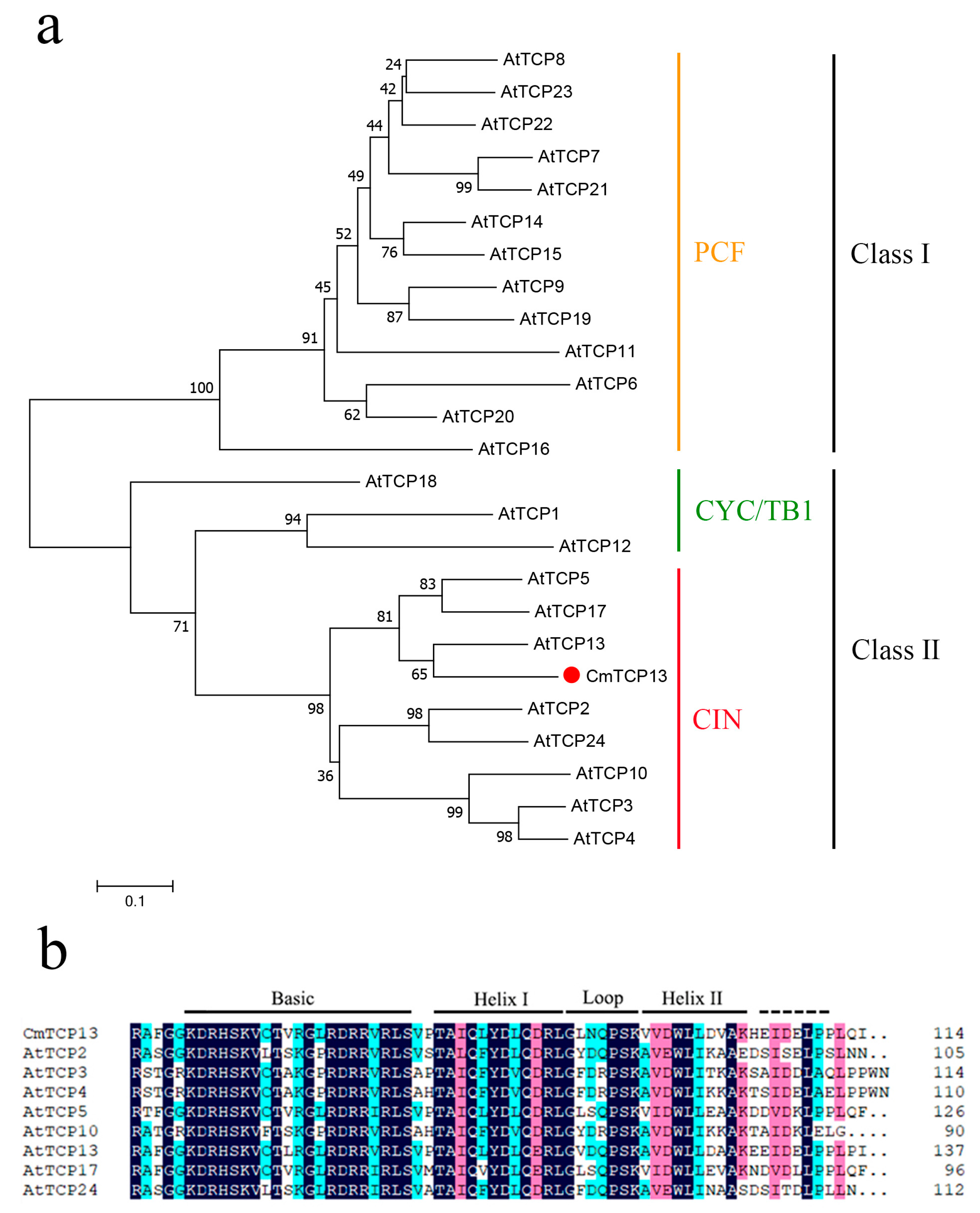 Plants 13 02118 g001