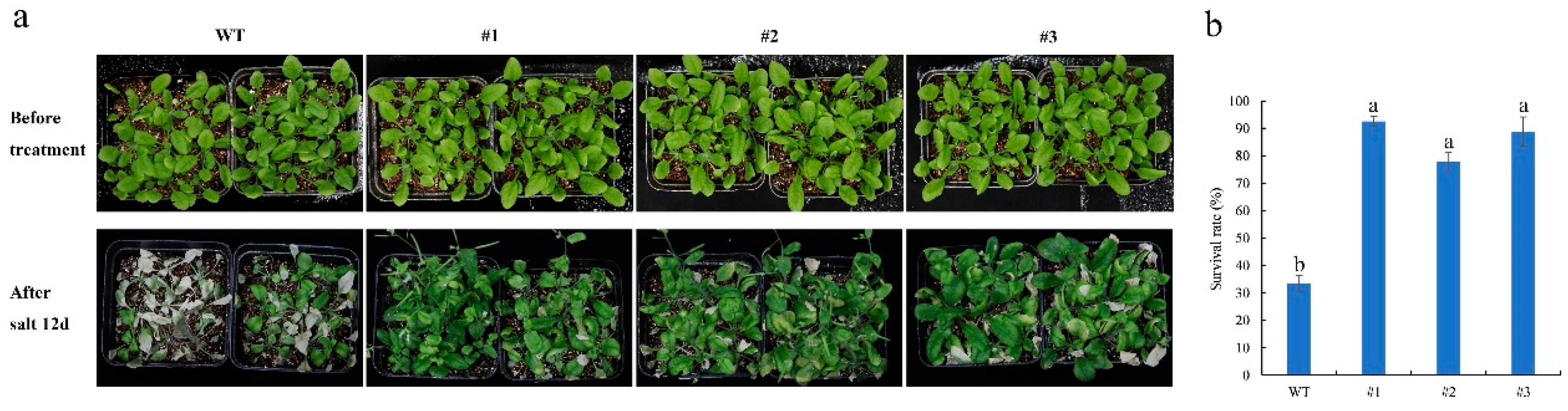 Plants 13 02118 g005