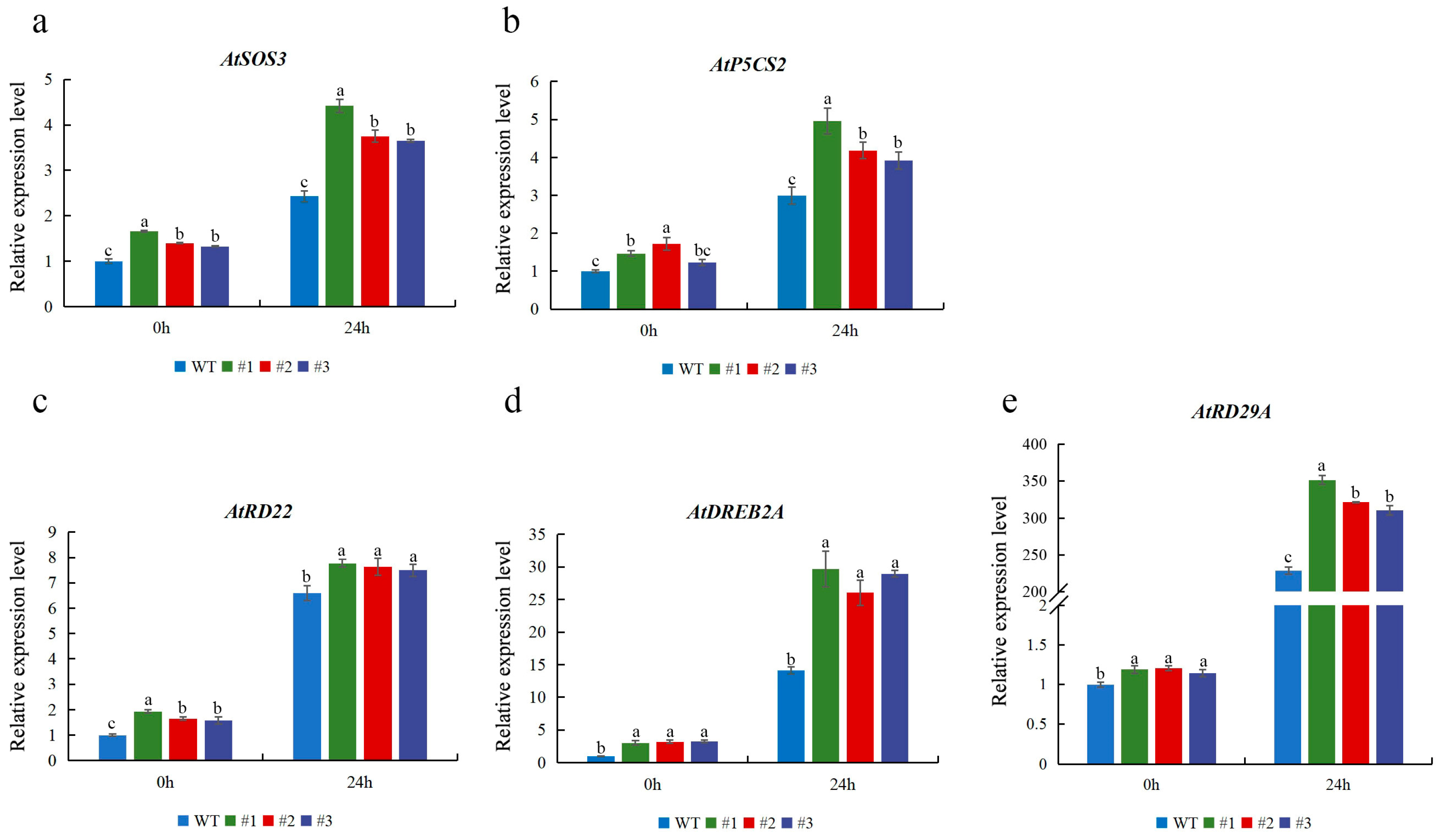 Plants 13 02118 g007