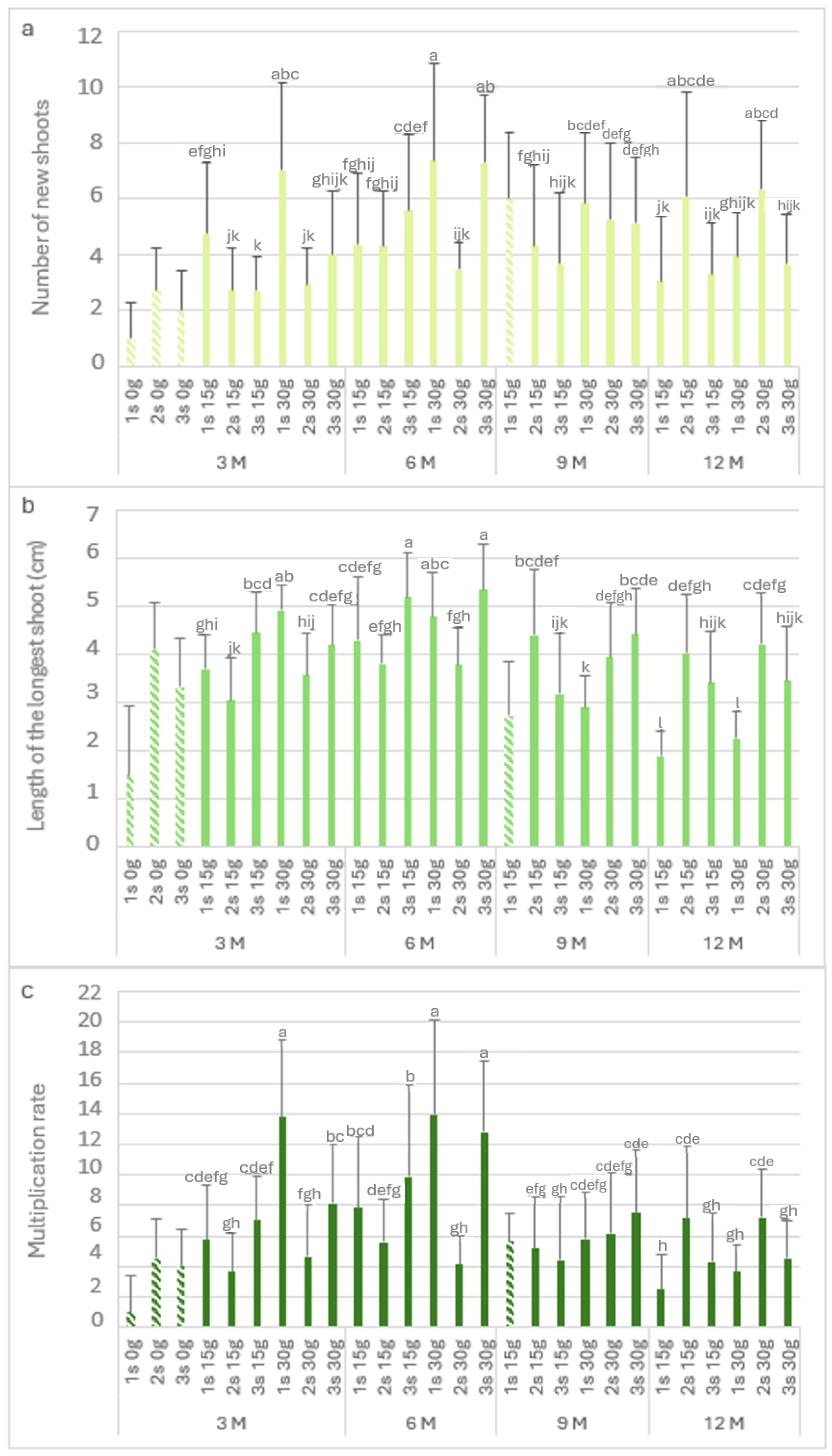 Plants 13 02124 g006