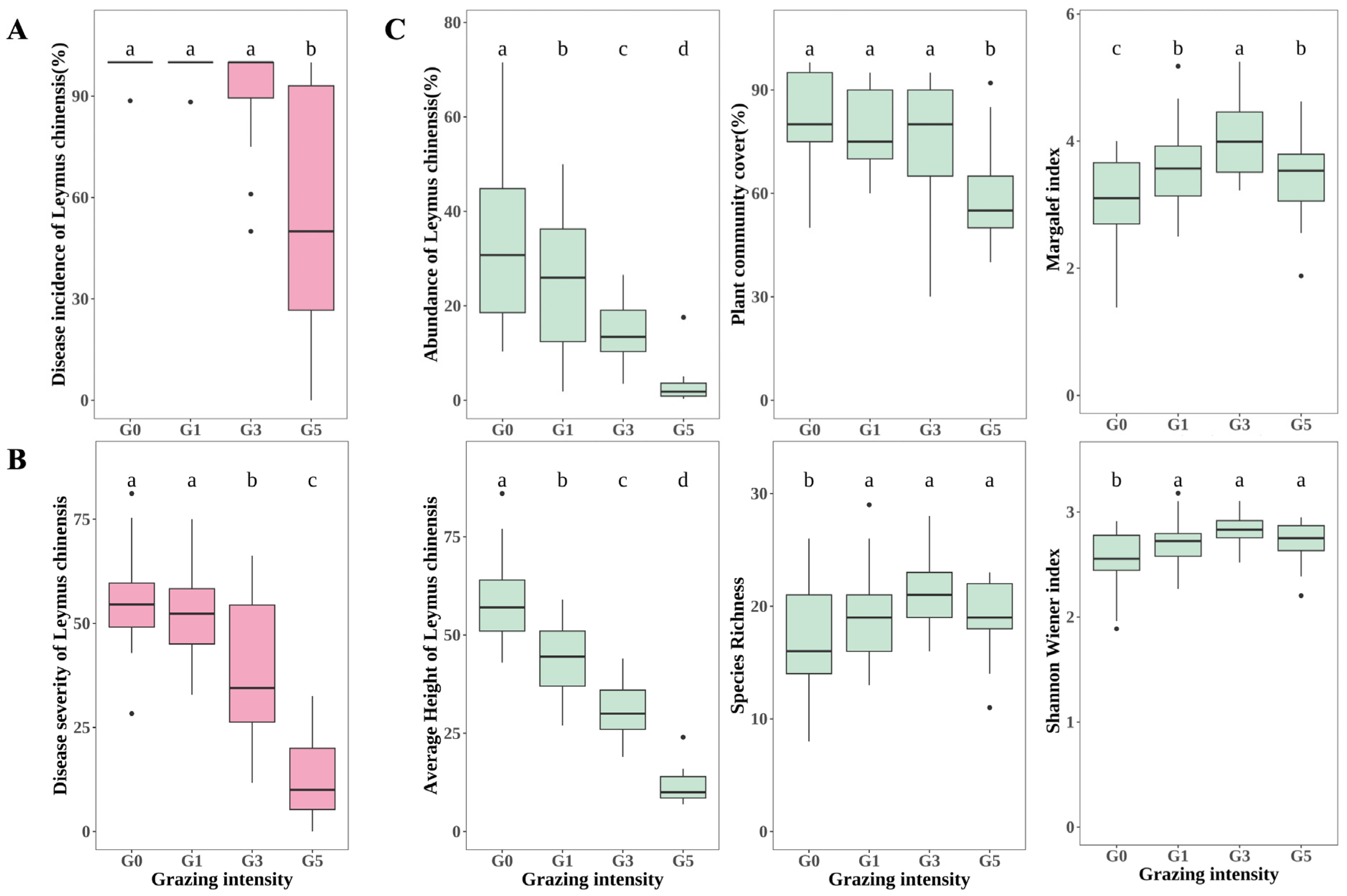 Plants 13 02128 g001