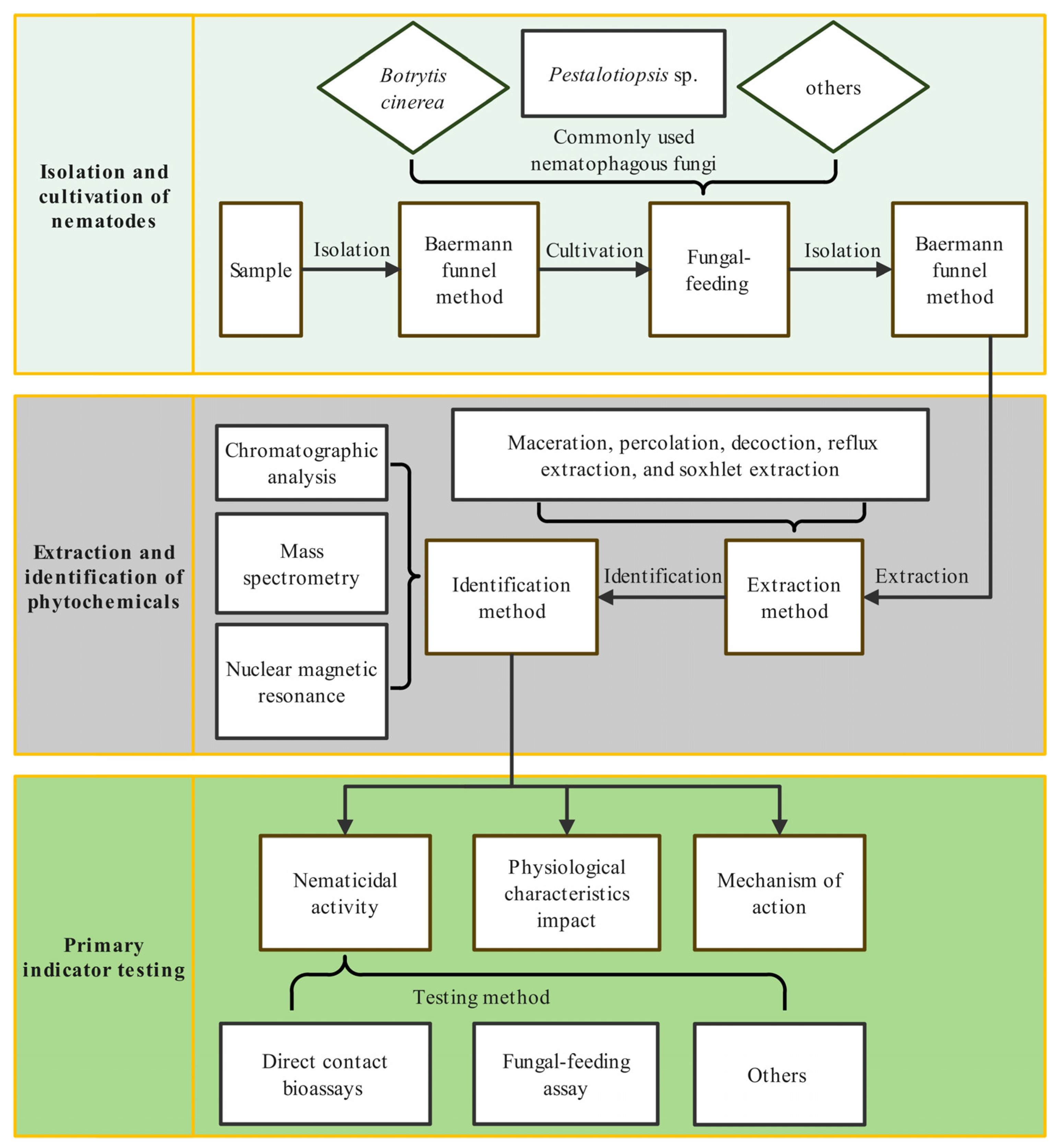 Plants 13 02129 g003