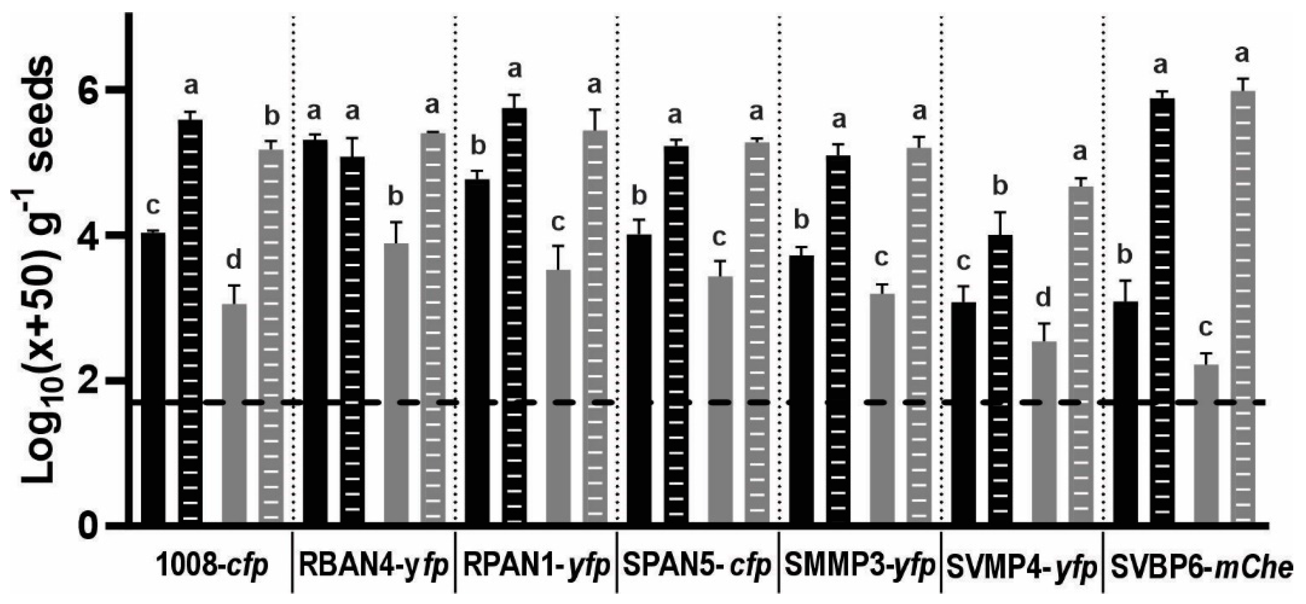Plants 13 02130 g002