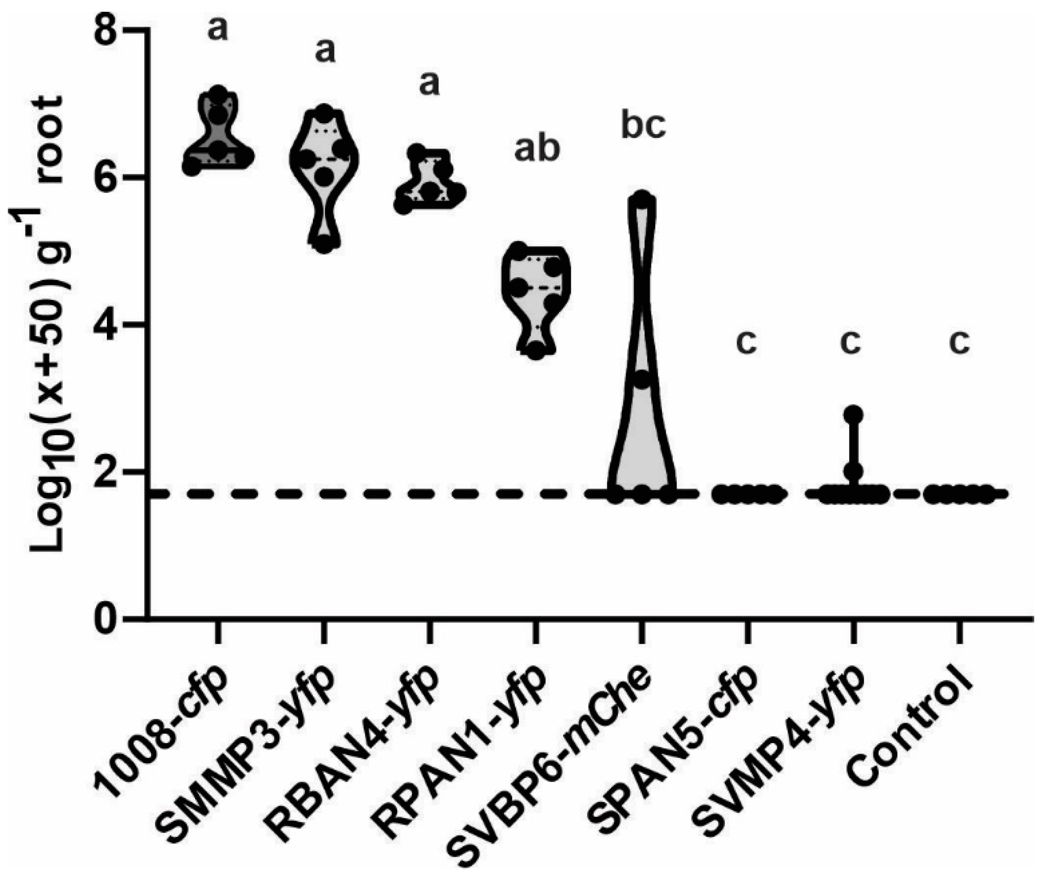 Plants 13 02130 g005