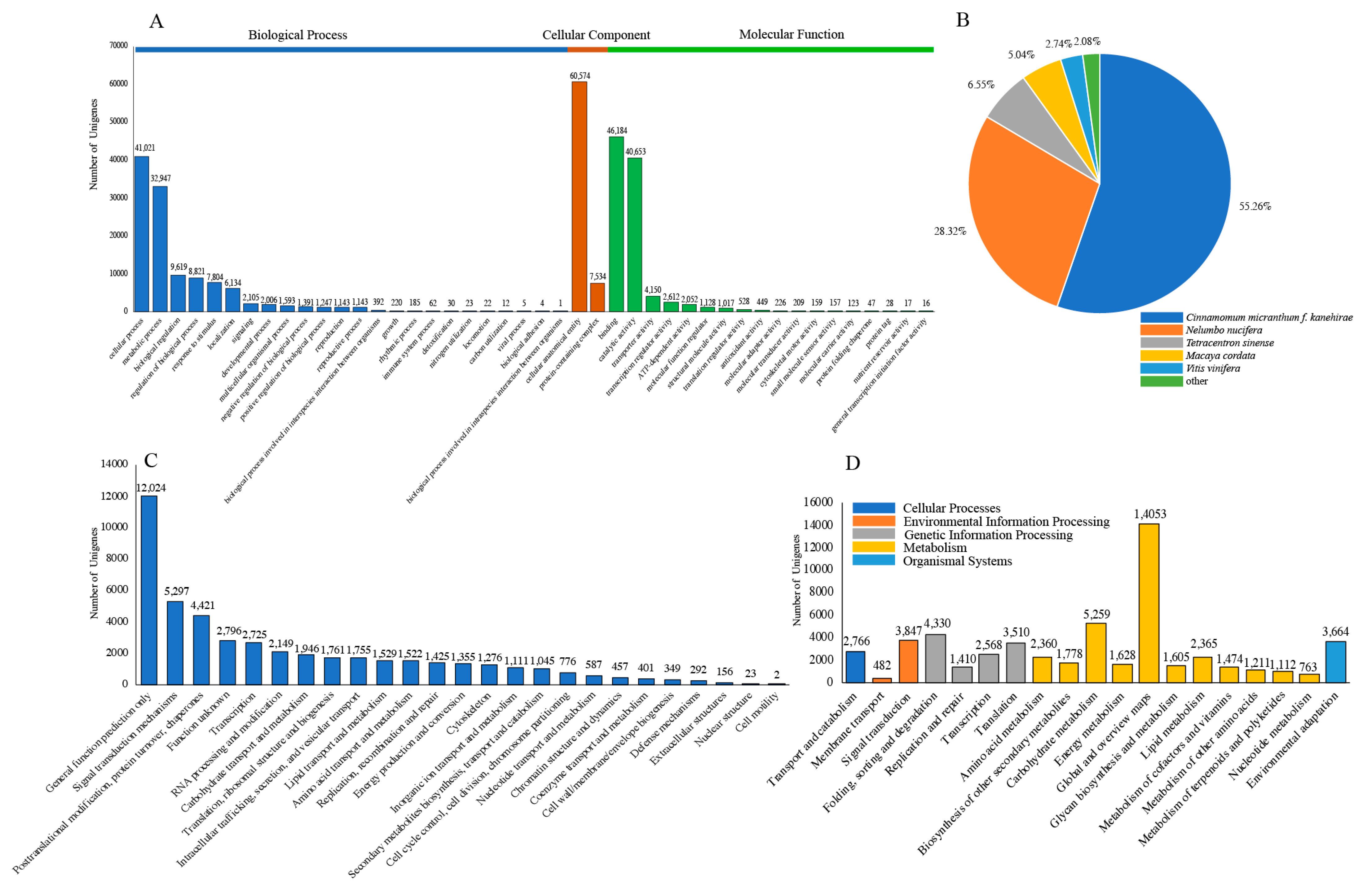 Plants 13 02131 g003